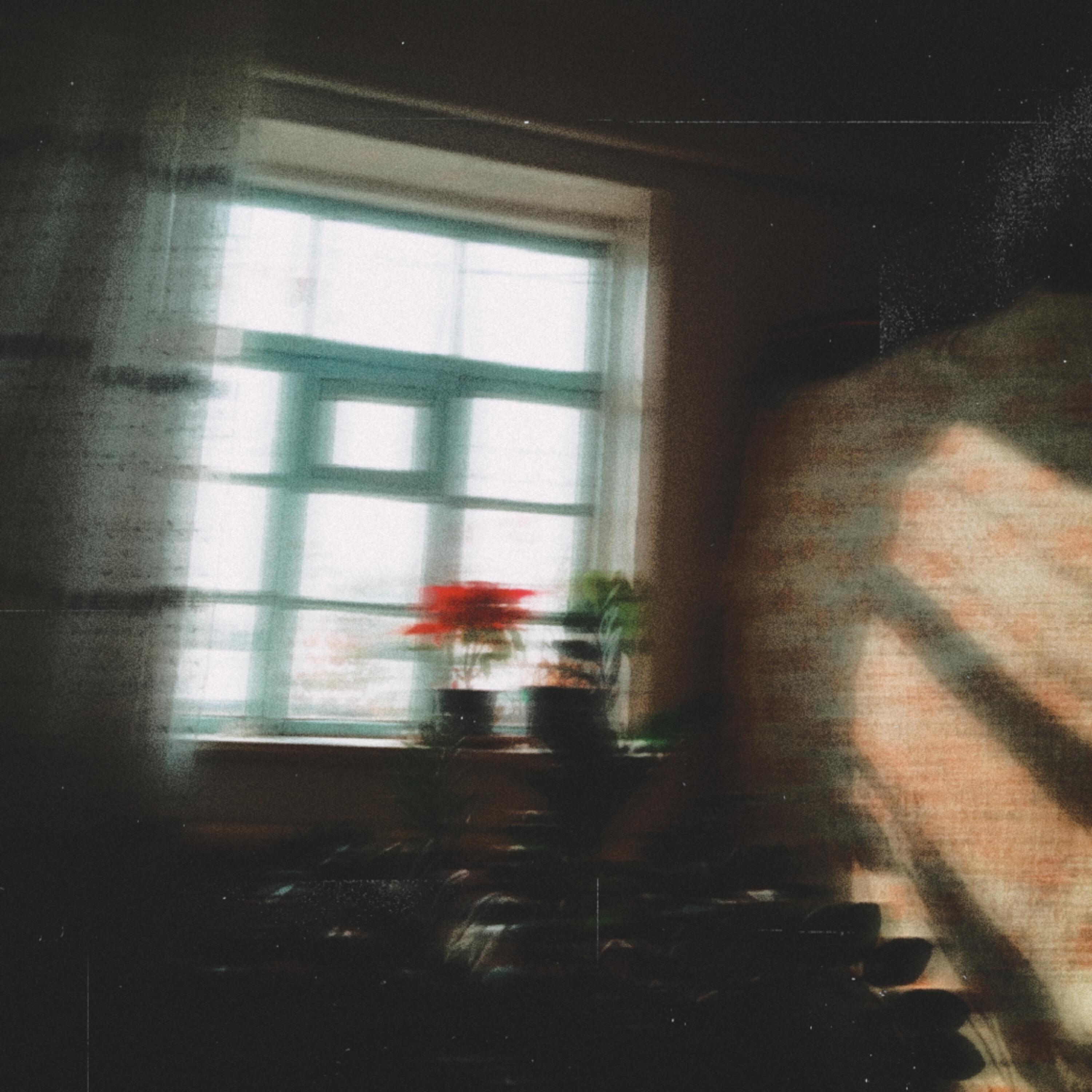 Релиз SWM