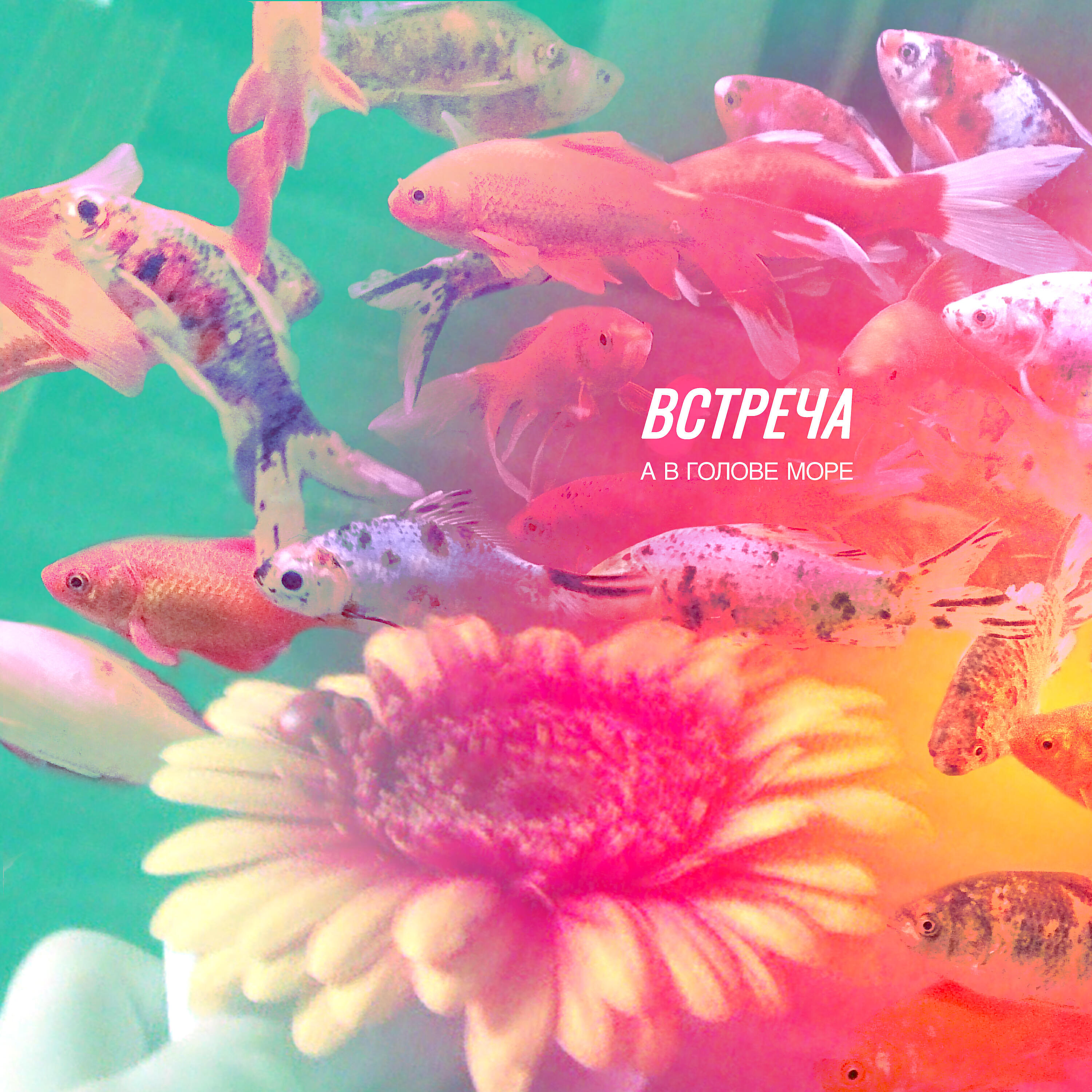 Постер альбома Встреча