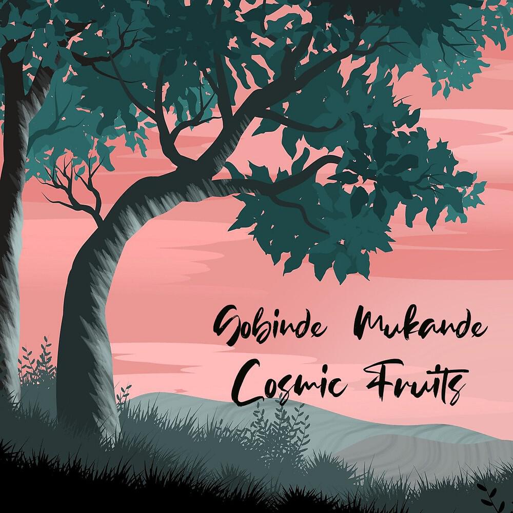 Cosmic Fruits