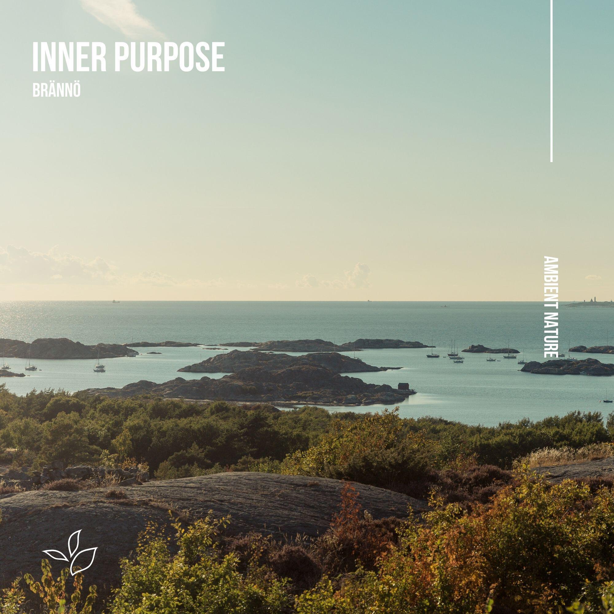 Релиз Brännö
