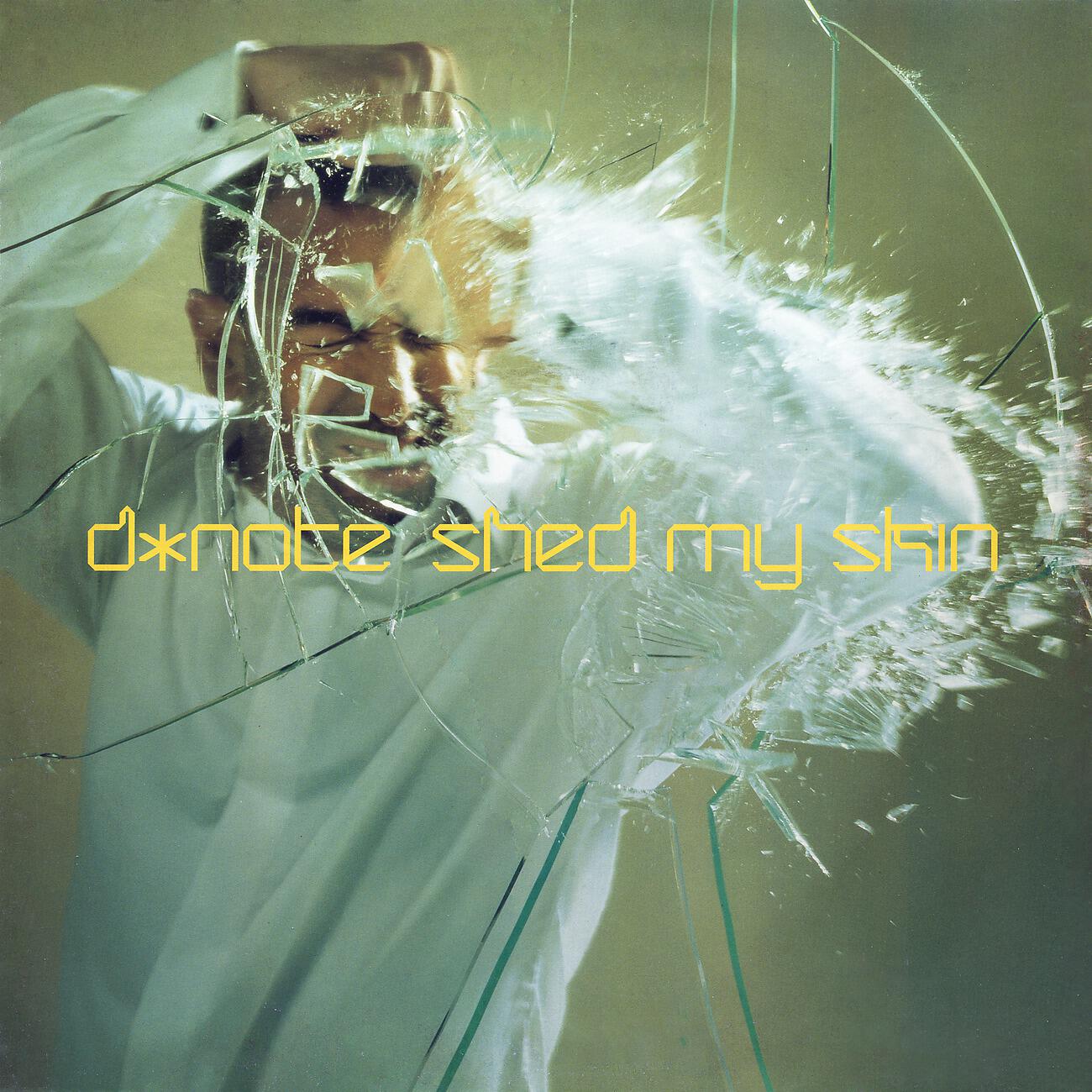 Релиз Shed My Skin