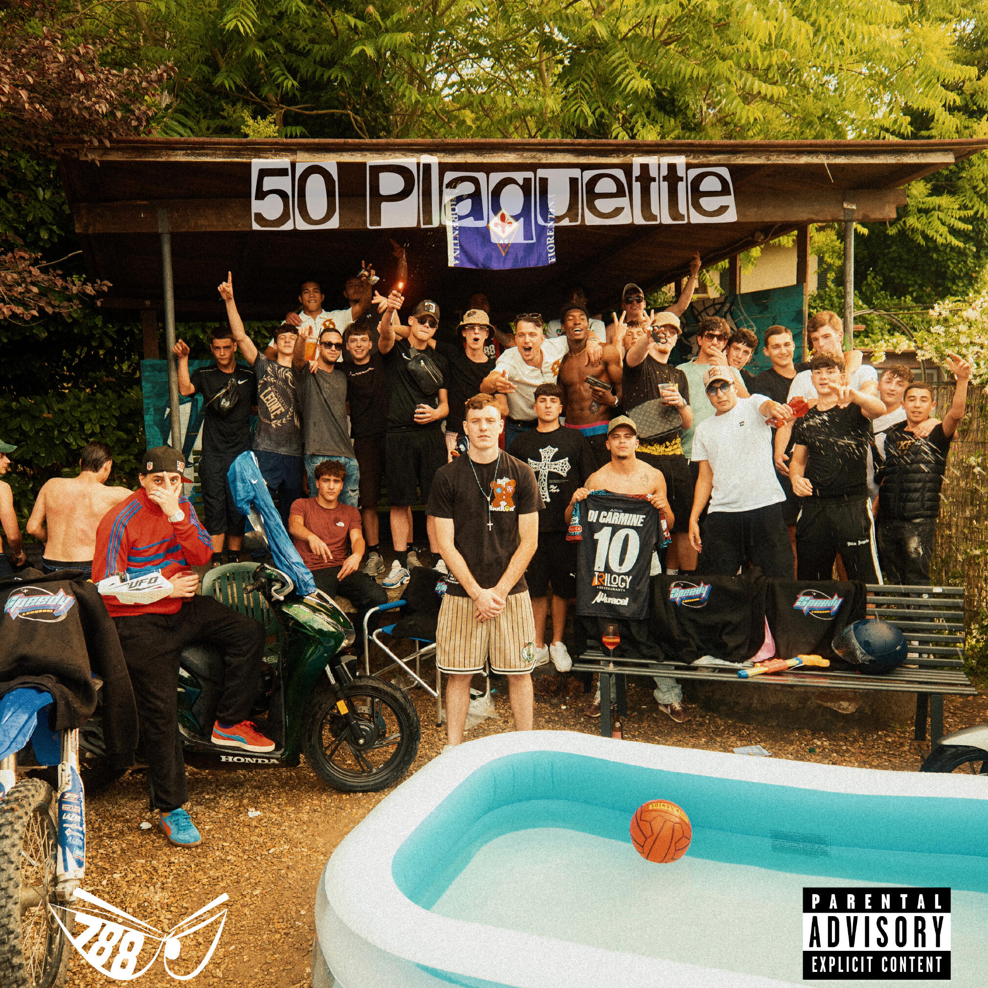 Релиз 50 PLAQUETTE