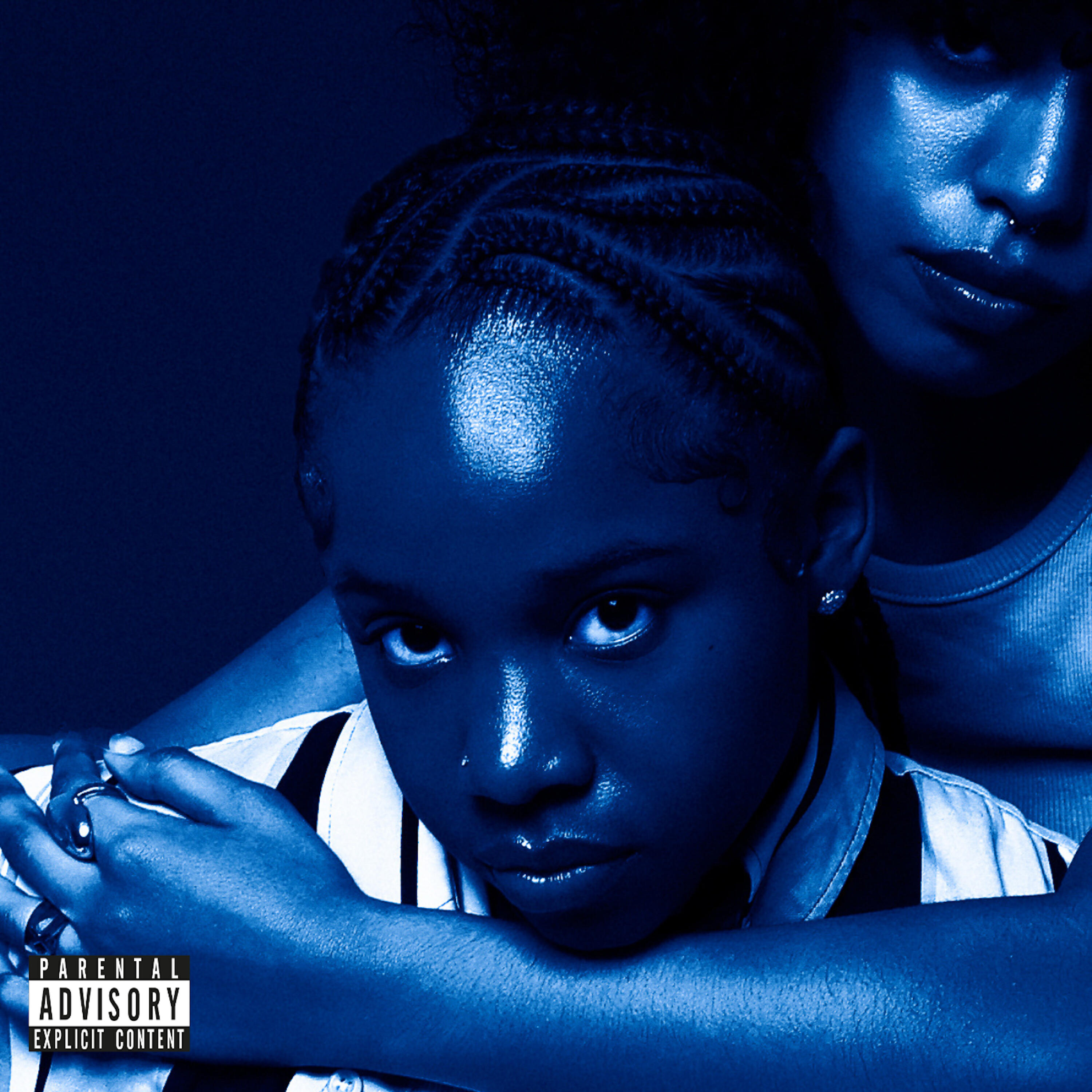 Релиз Fade To BLUE