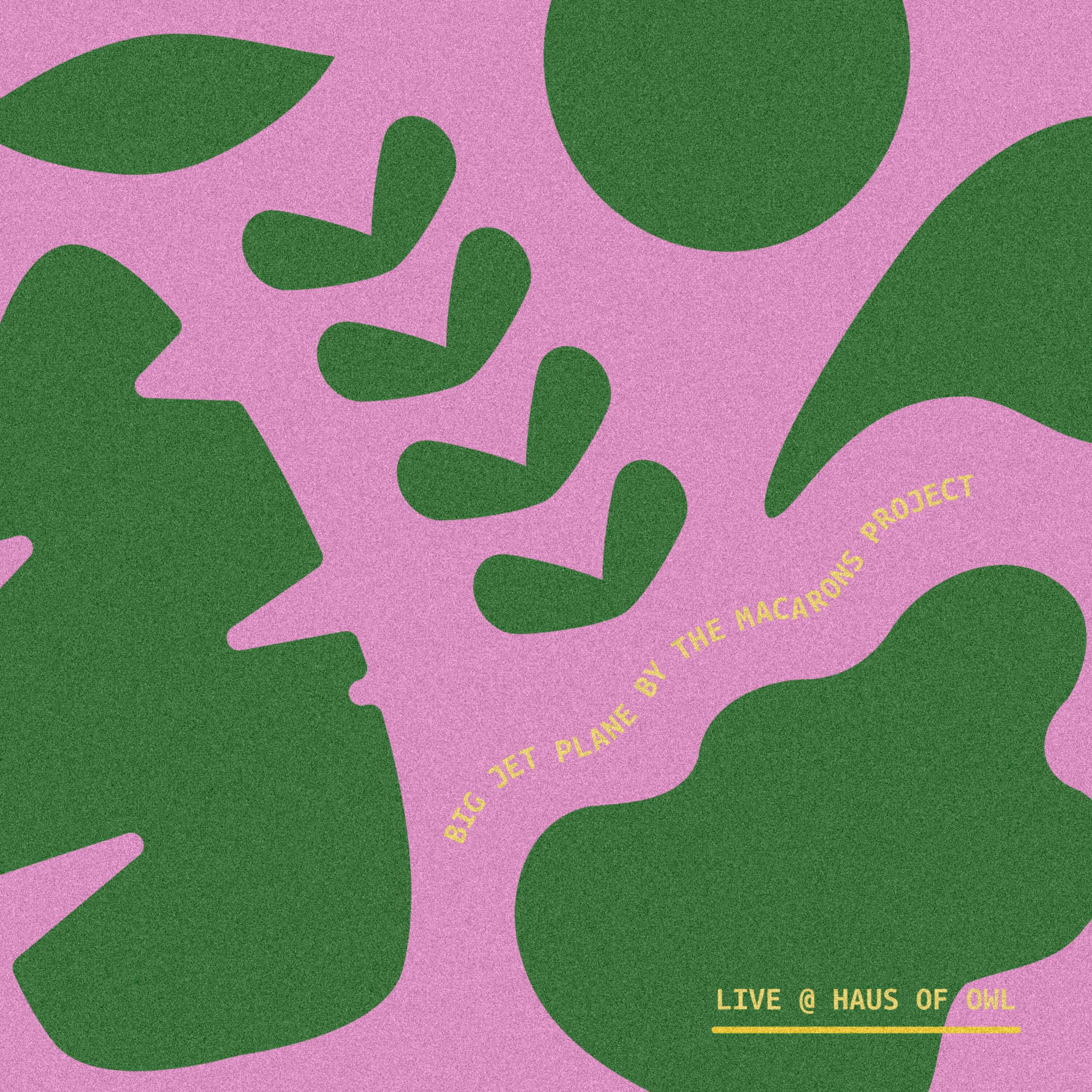 Релиз Big Jet Plane (Live at Haus of Owl)