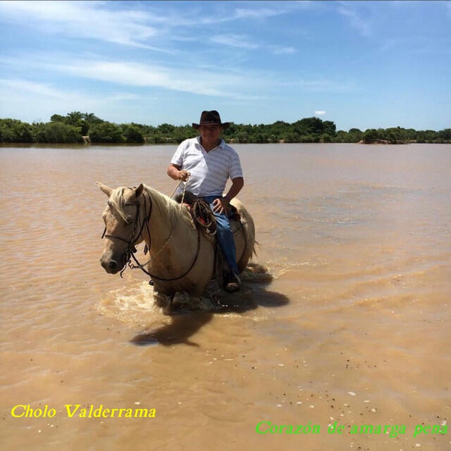 Релиз Corazon de Amarga Pena