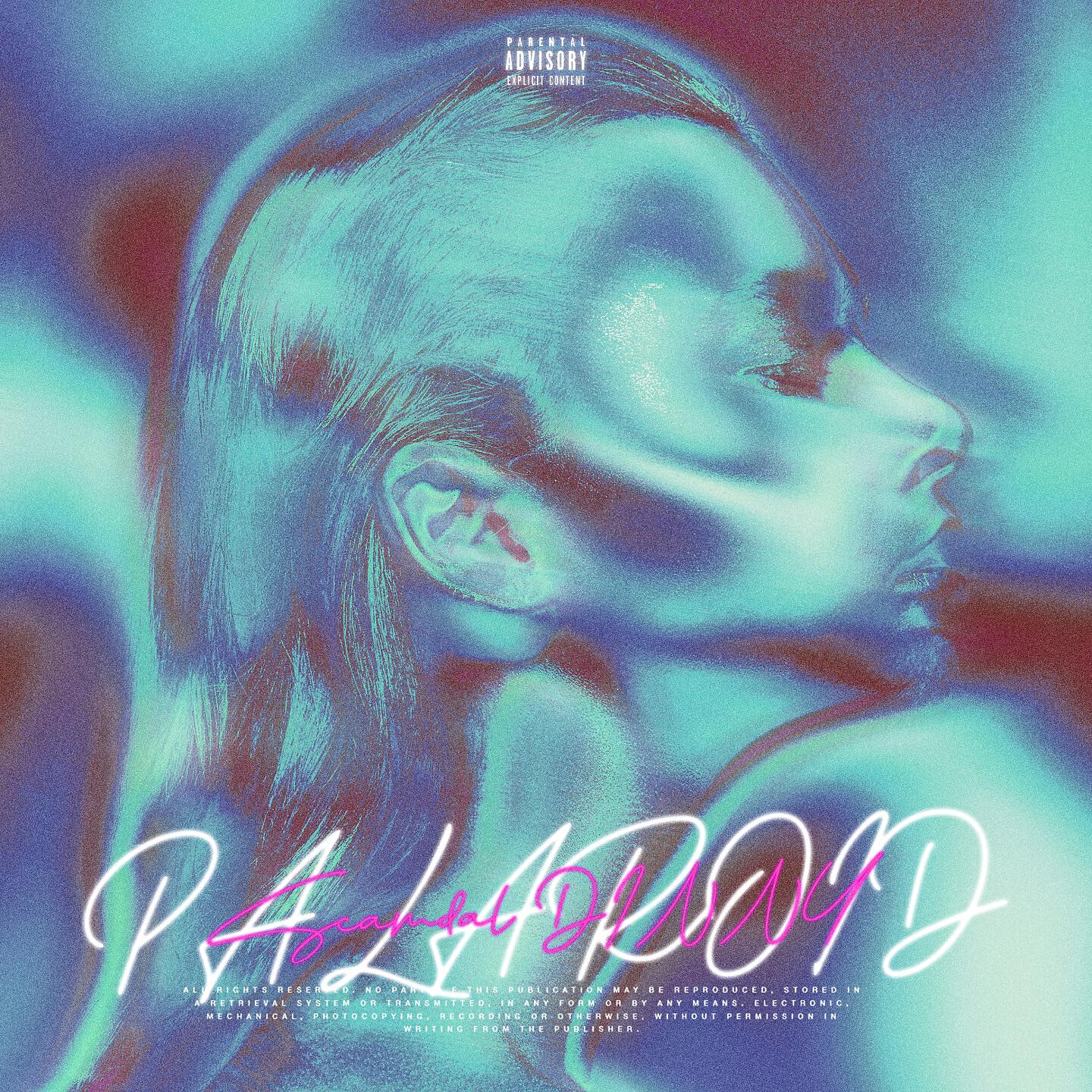 Релиз Palaroid