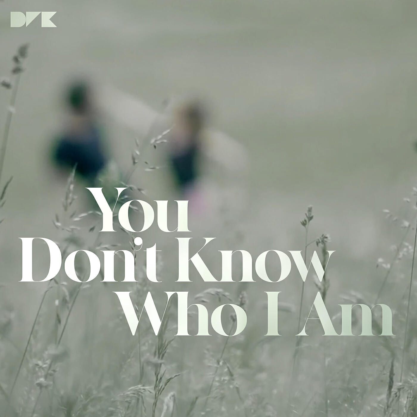 Релиз You Don't Know Who I Am