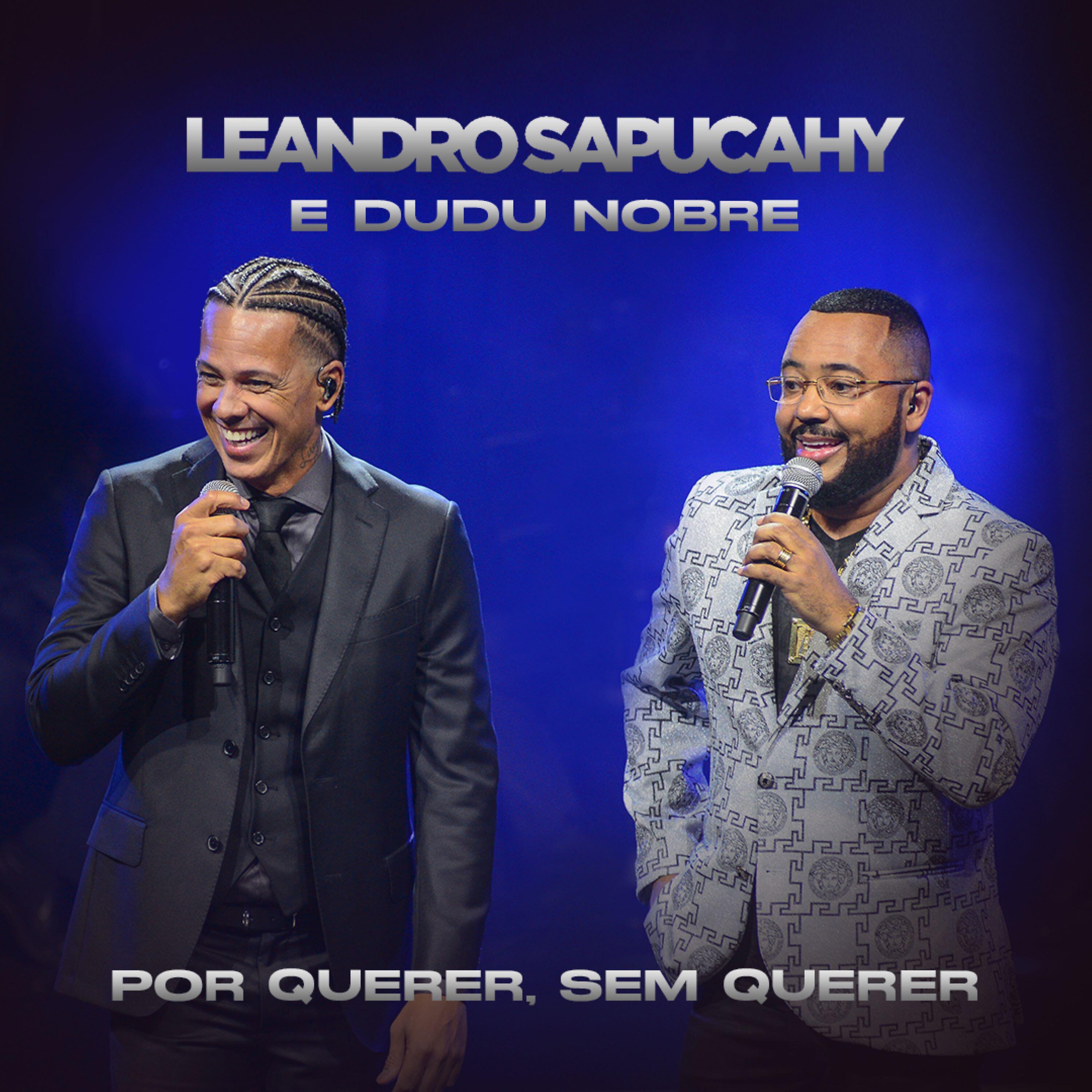 Релиз Por Querer, Sem Querer