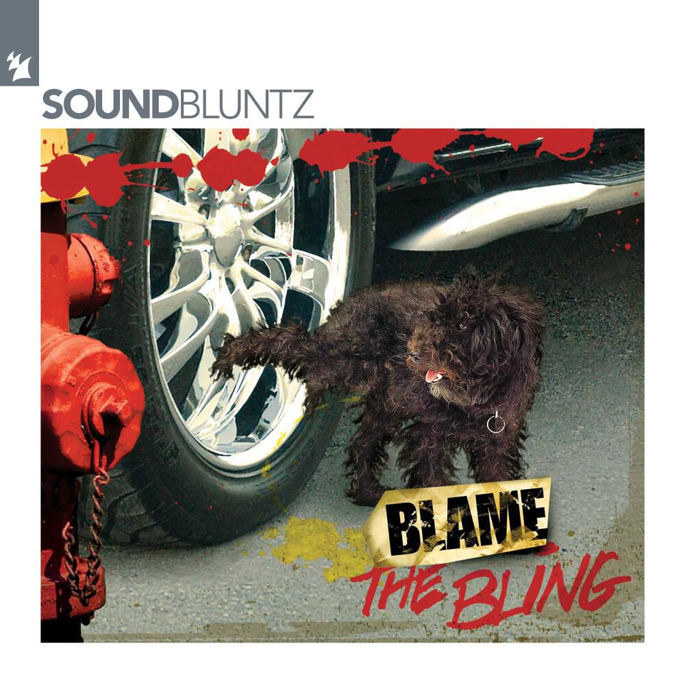 Релиз Blame the Bling