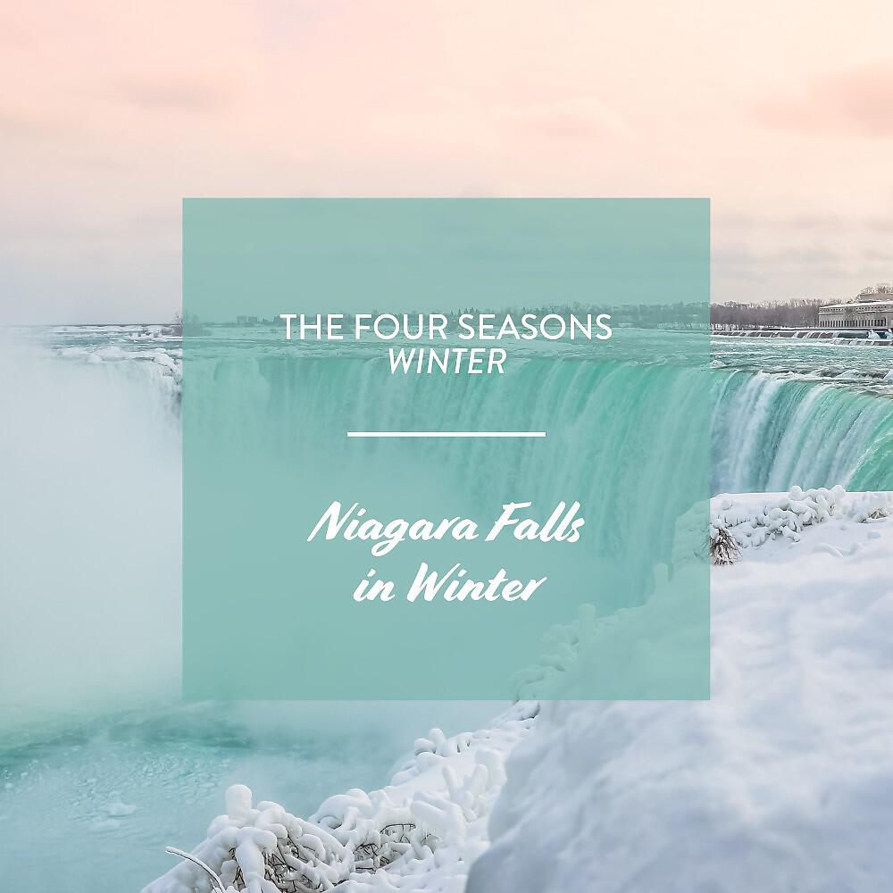 Релиз The Four Seasons - Winter: Niagara Falls in Winter