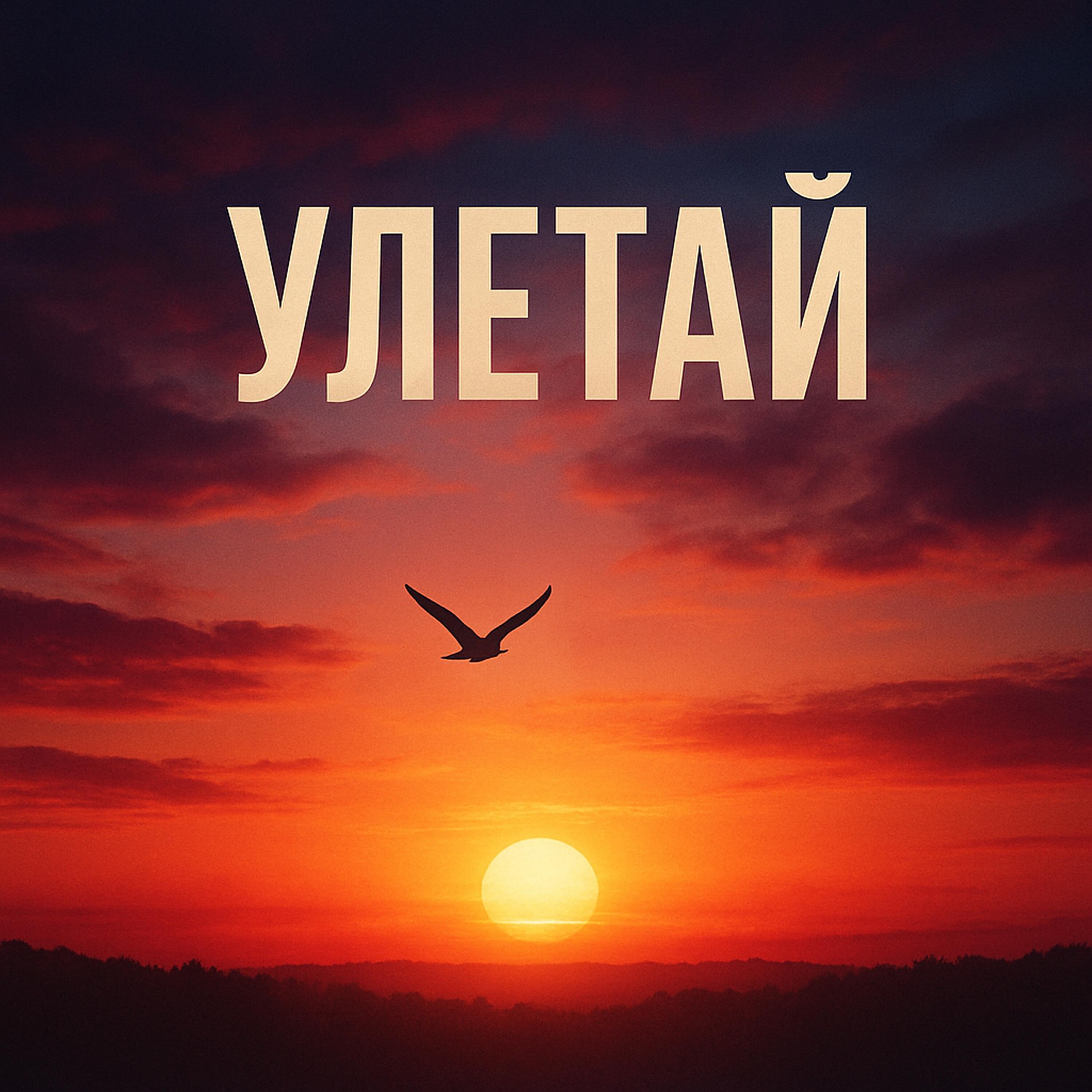 Совушка