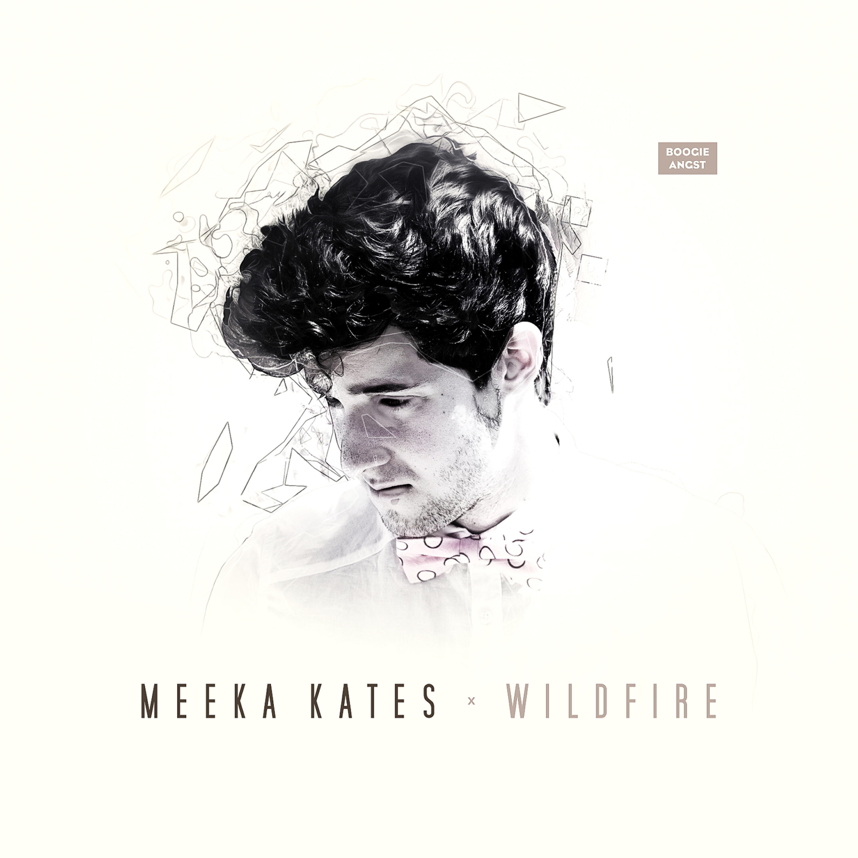 Релиз Wildfire