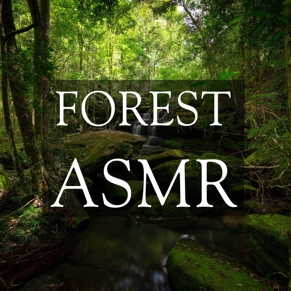 Релиз Forest ASMR for Relaxation and Deep Sleeping