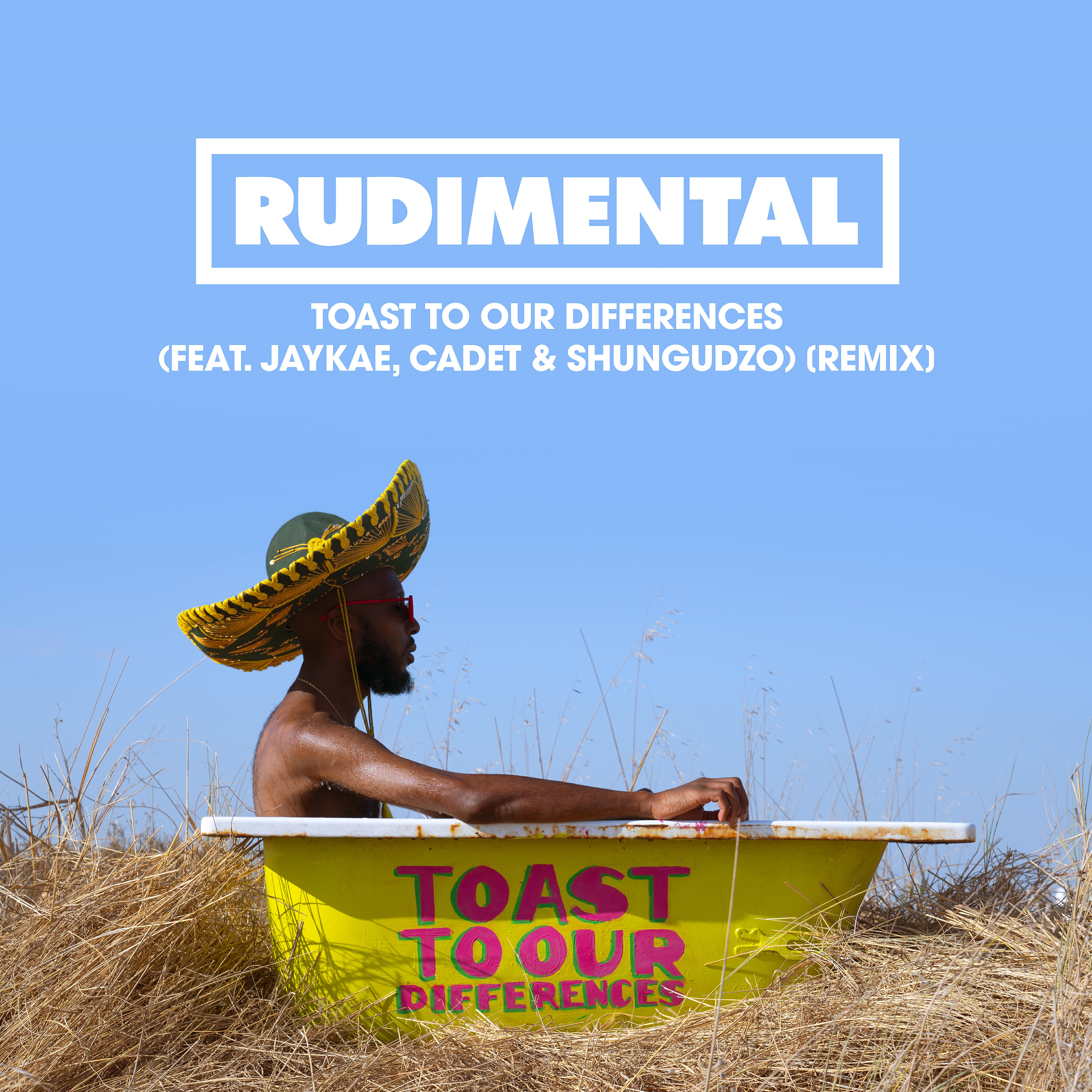 Релиз Toast to Our Differences (feat. Jaykae, Cadet & Shungudzo) [Remix]