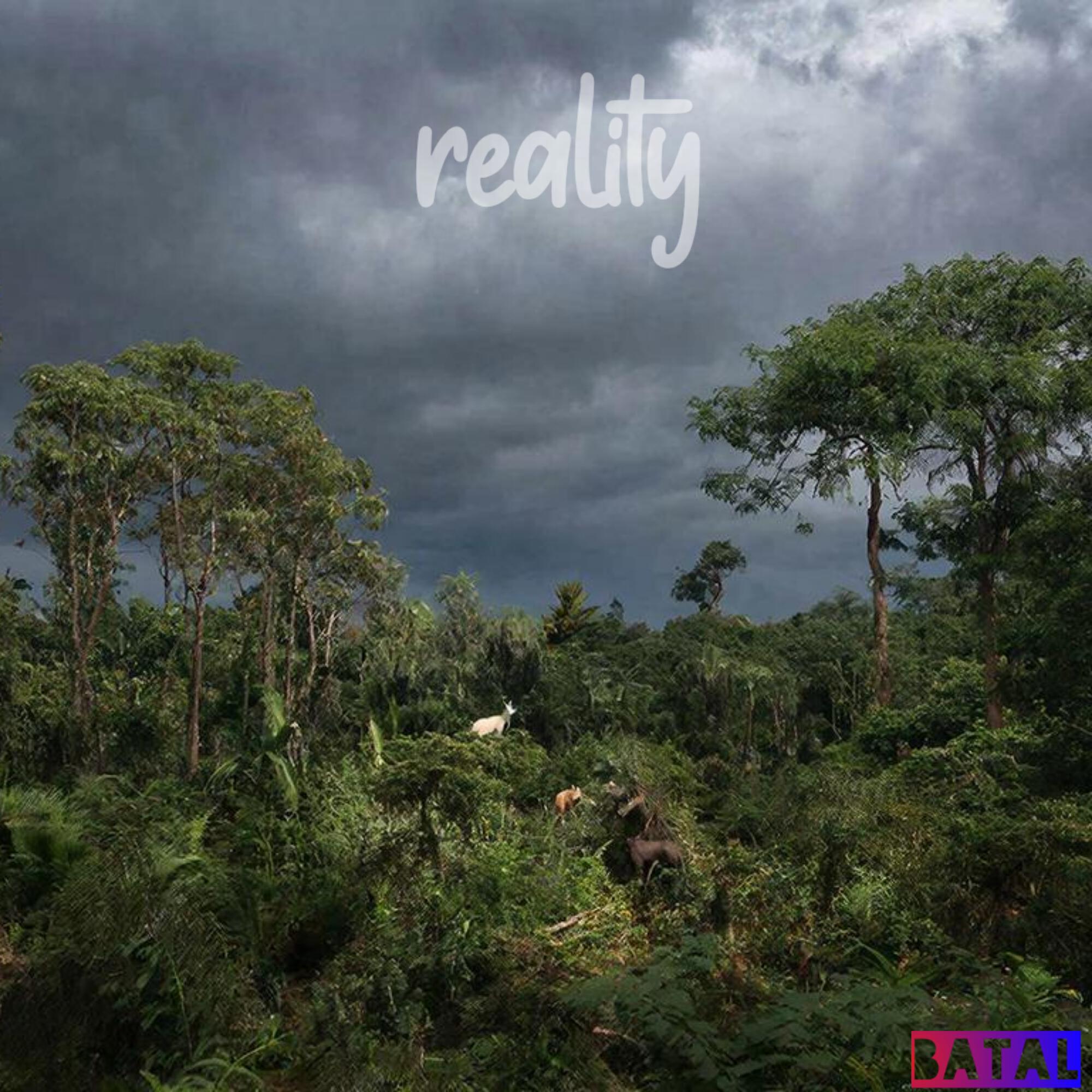 Релиз Reality