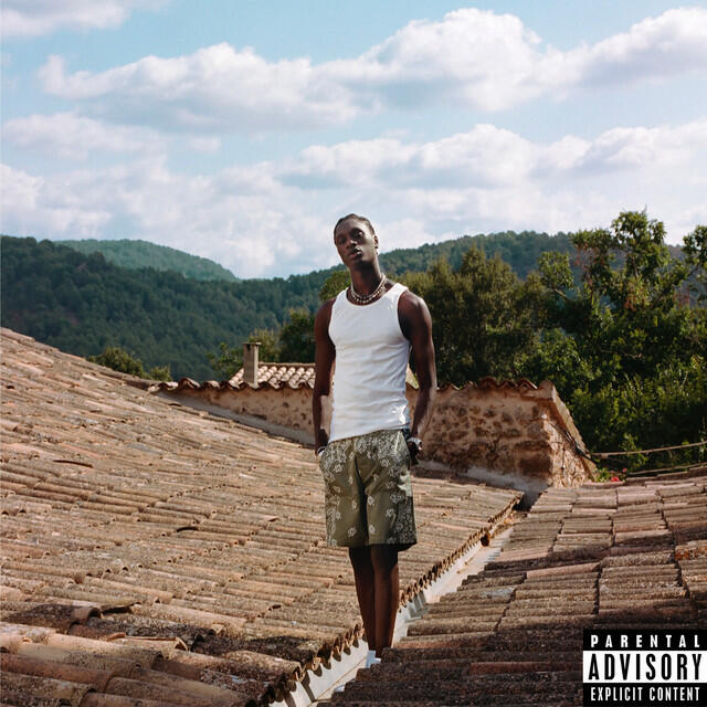 Релиз SUMMER FLINGS