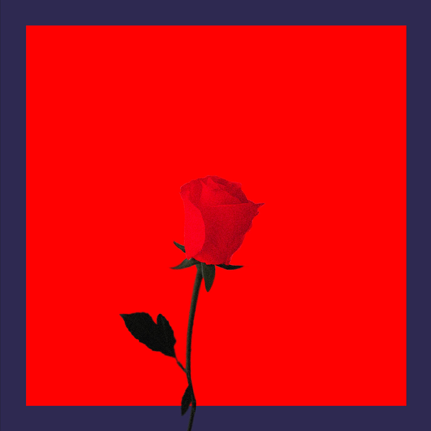 Релиз It's Only You