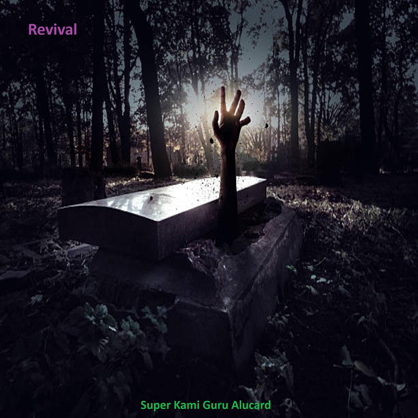 Постер альбома Revival