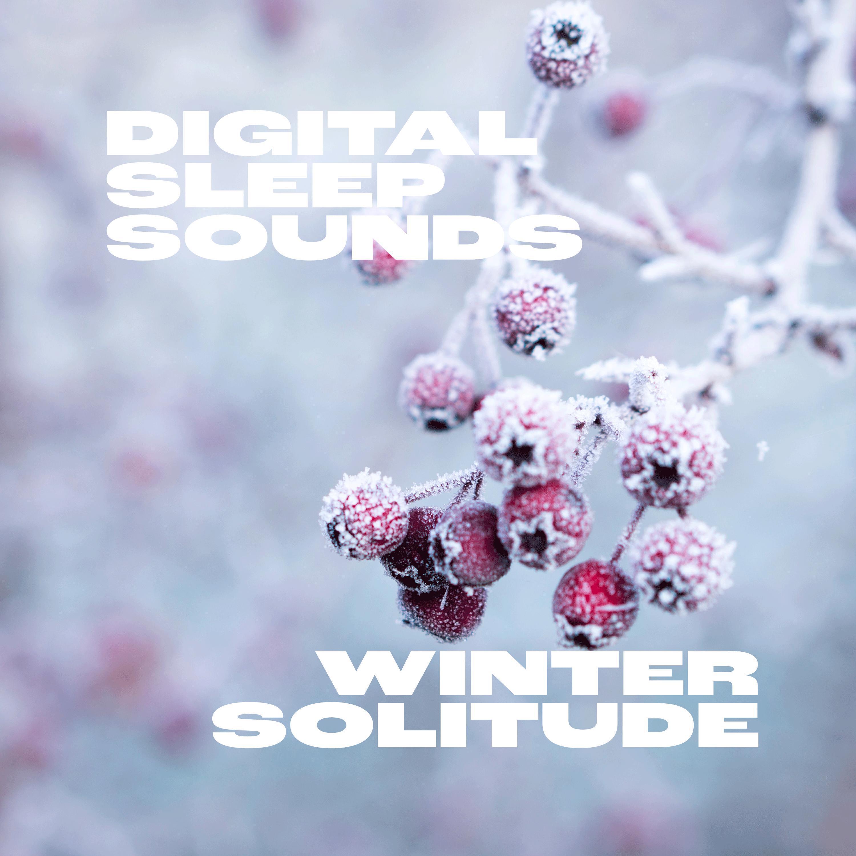 Digital Sleep Sounds
