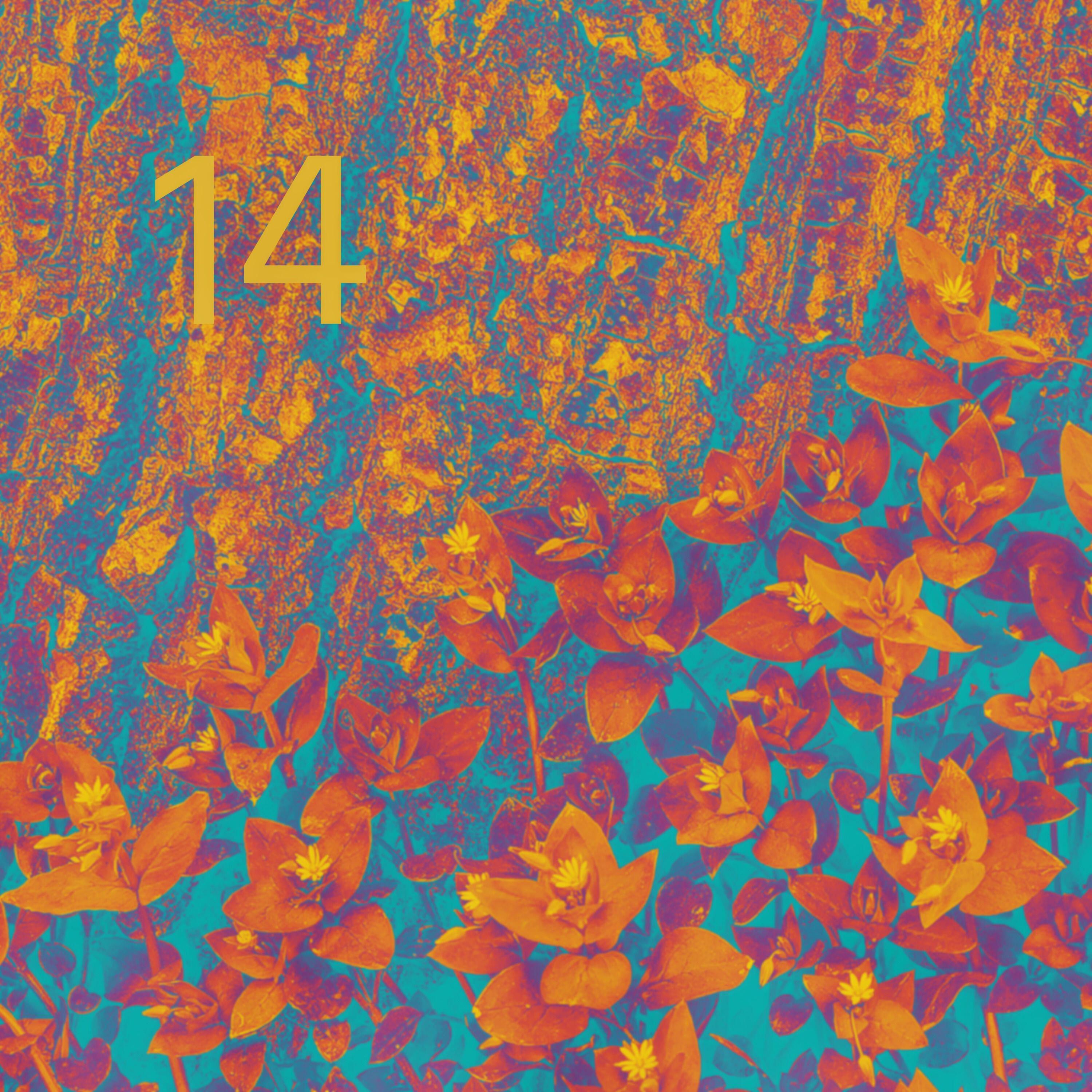 Релиз 14