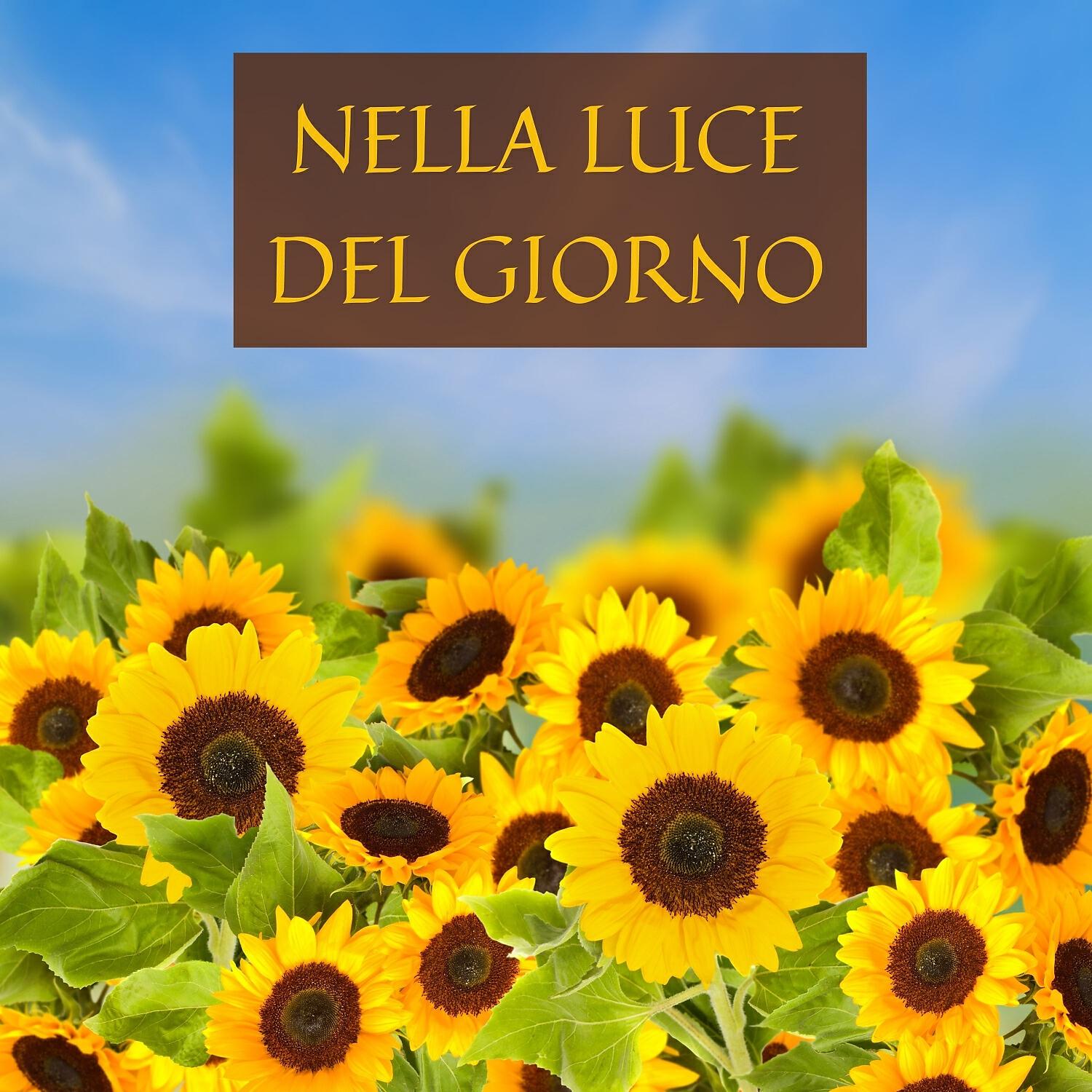 Релиз Nella Luce Del Giorno