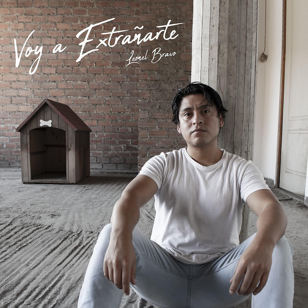 Релиз Voy a Extrañarte