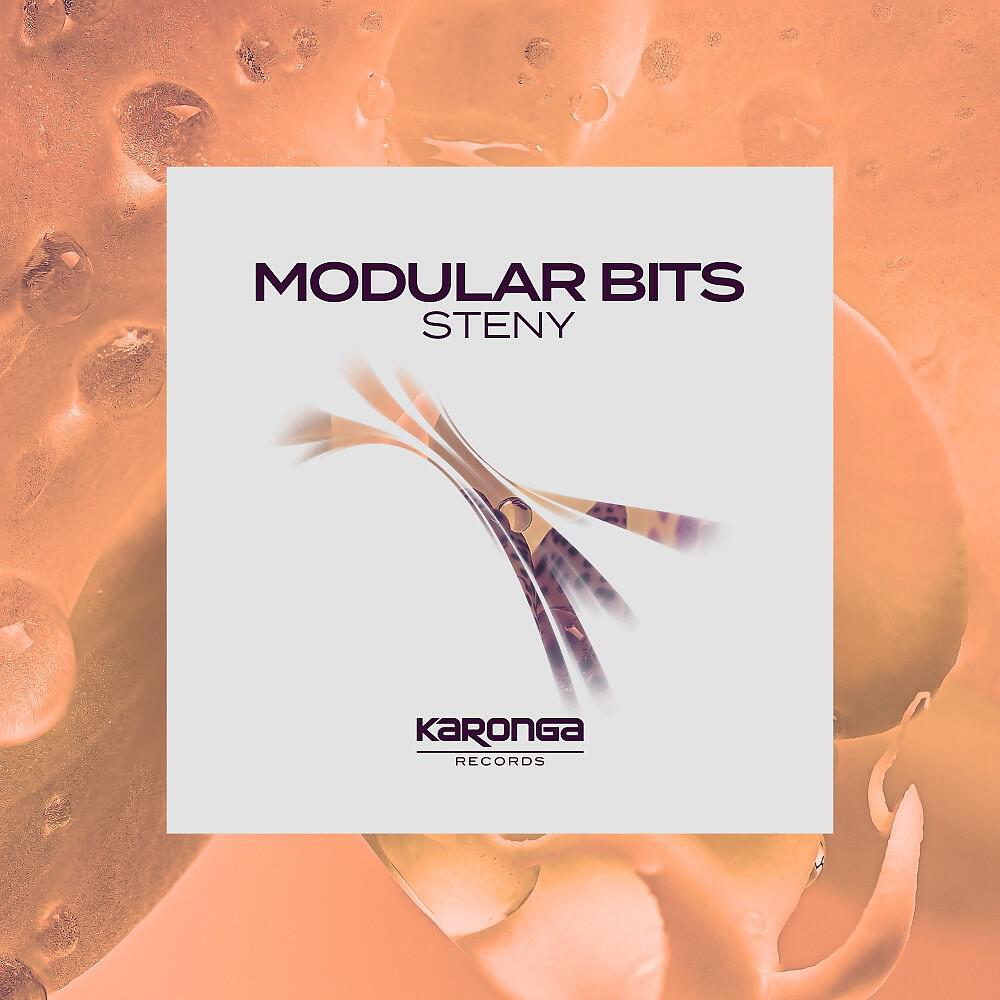 Релиз Modular Bits