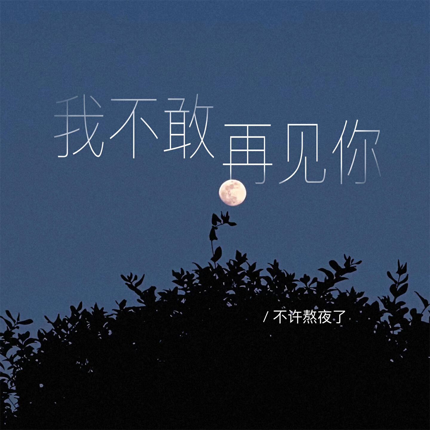 Релиз 我不敢再见你