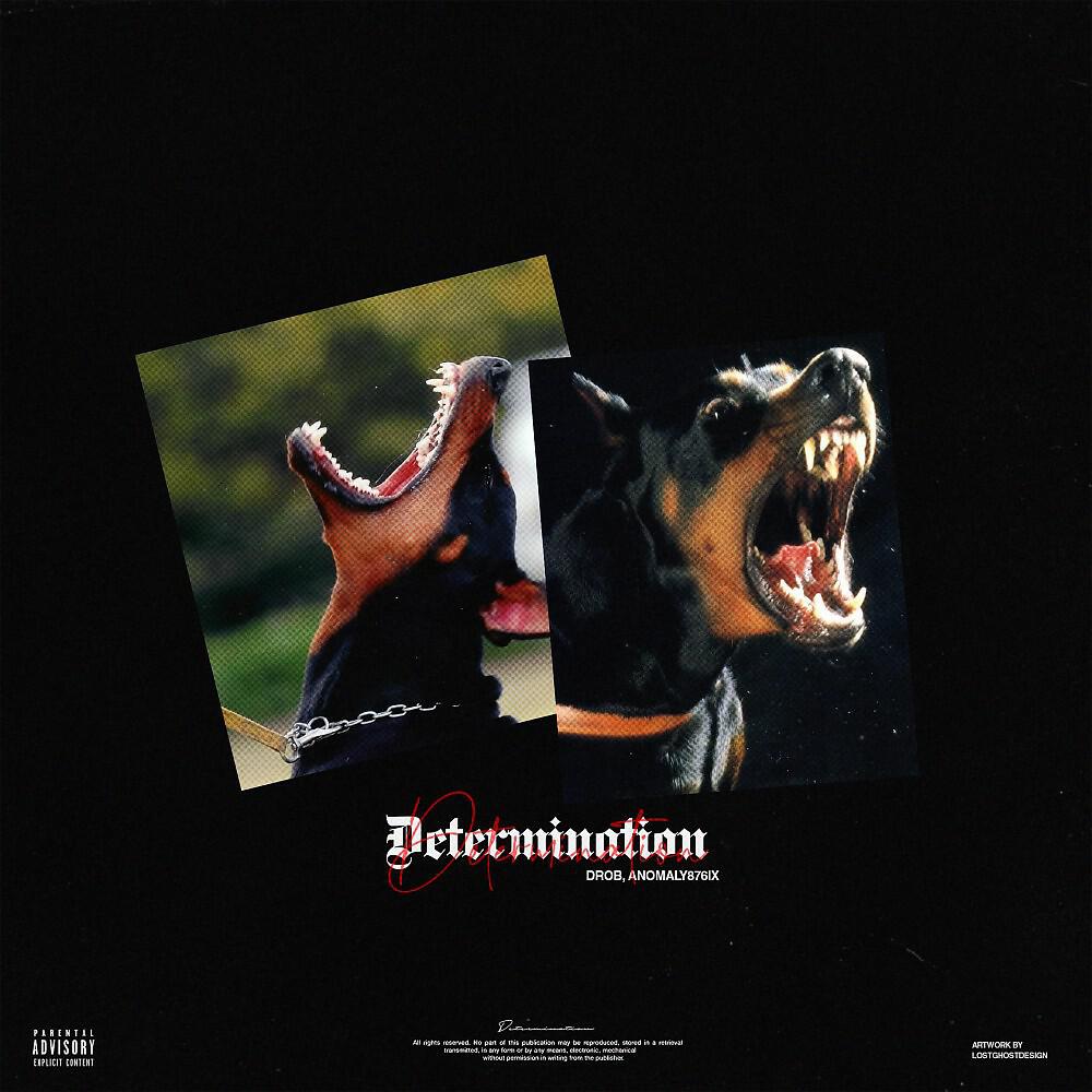 Релиз Determination