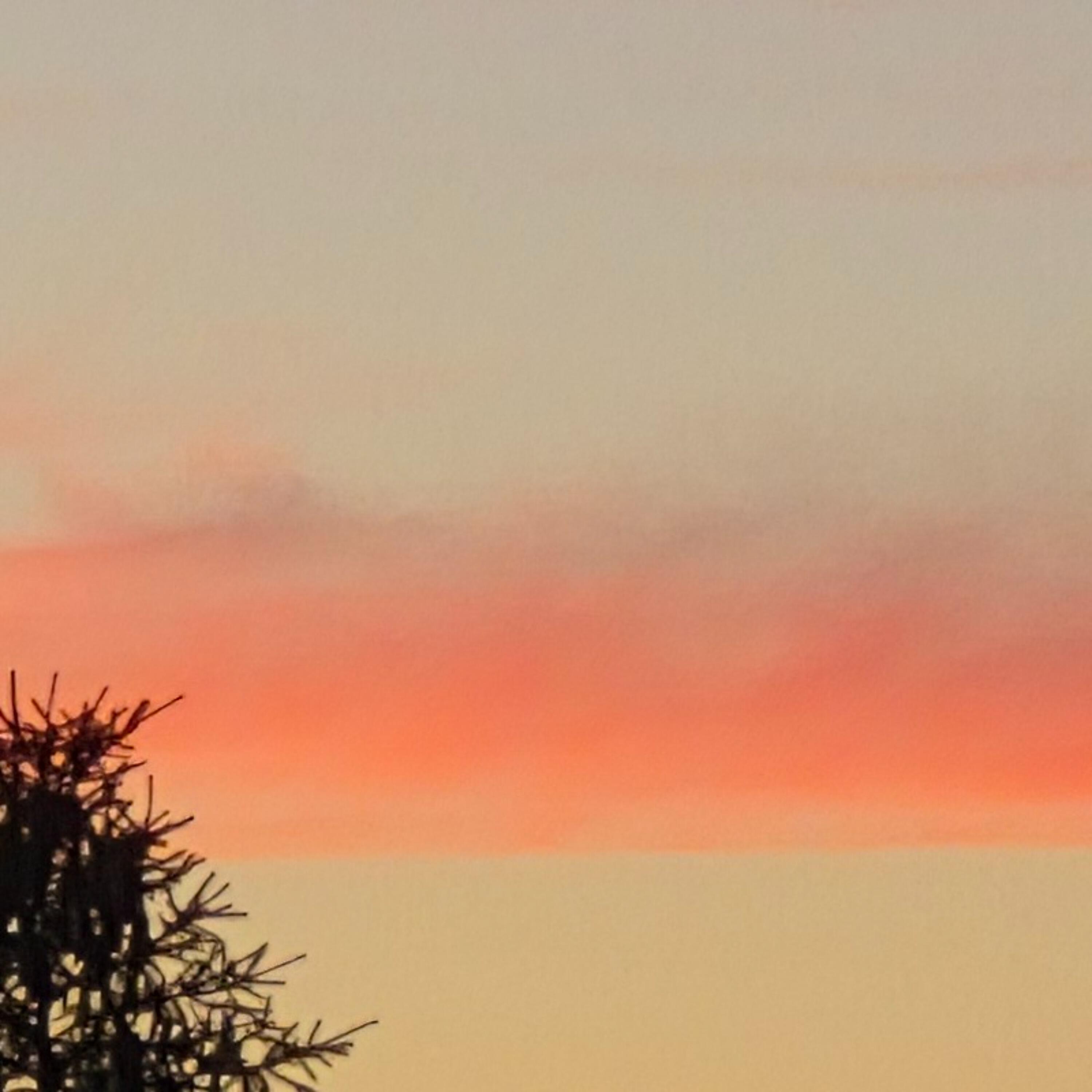 Релиз Neon skies