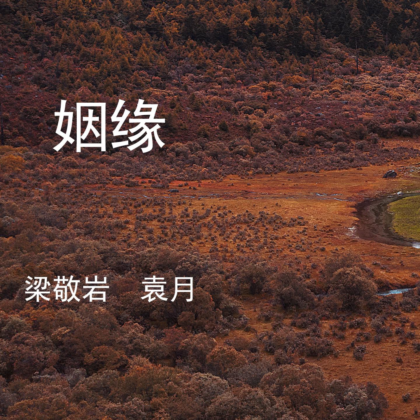 Релиз 姻缘
