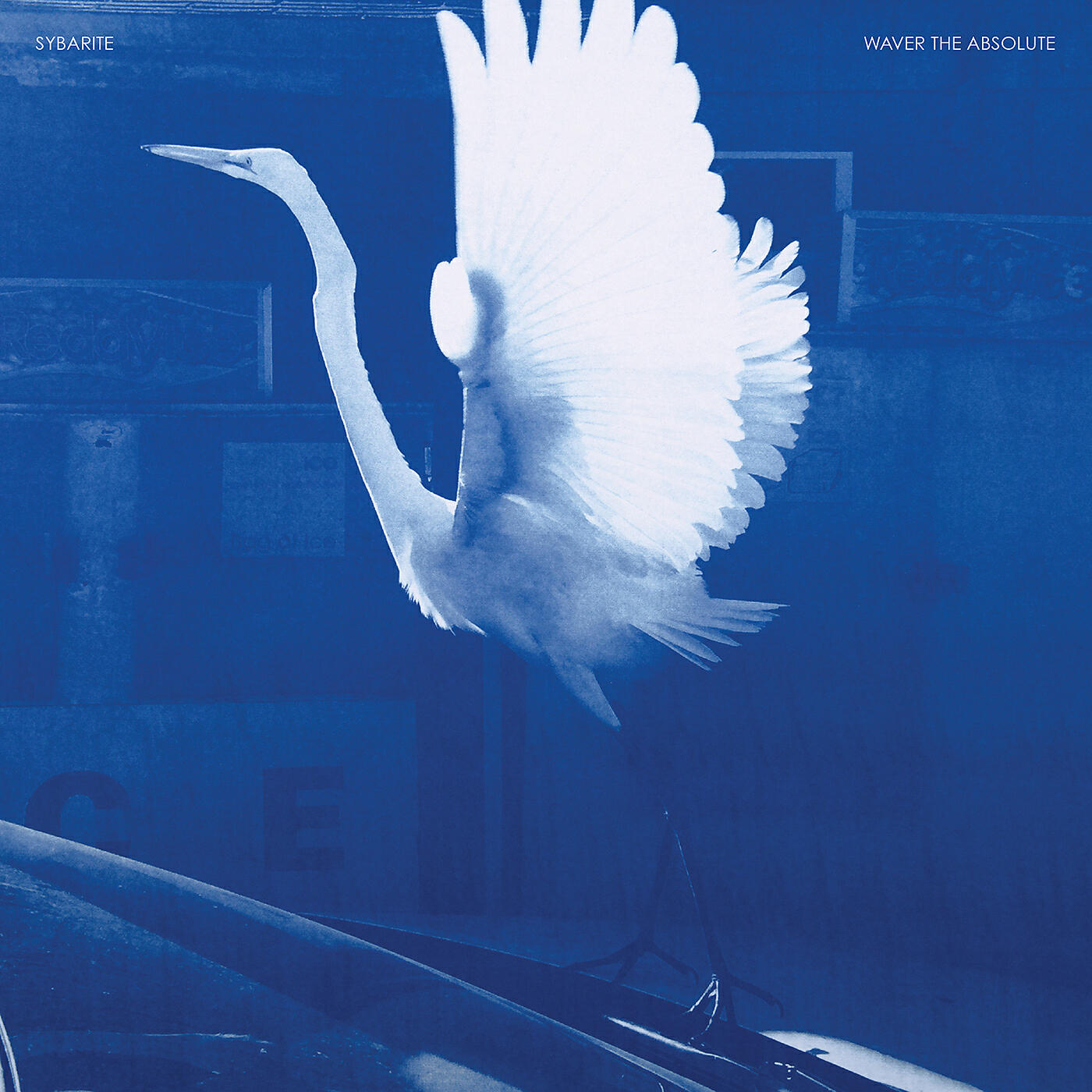 Релиз Waver the Absolute