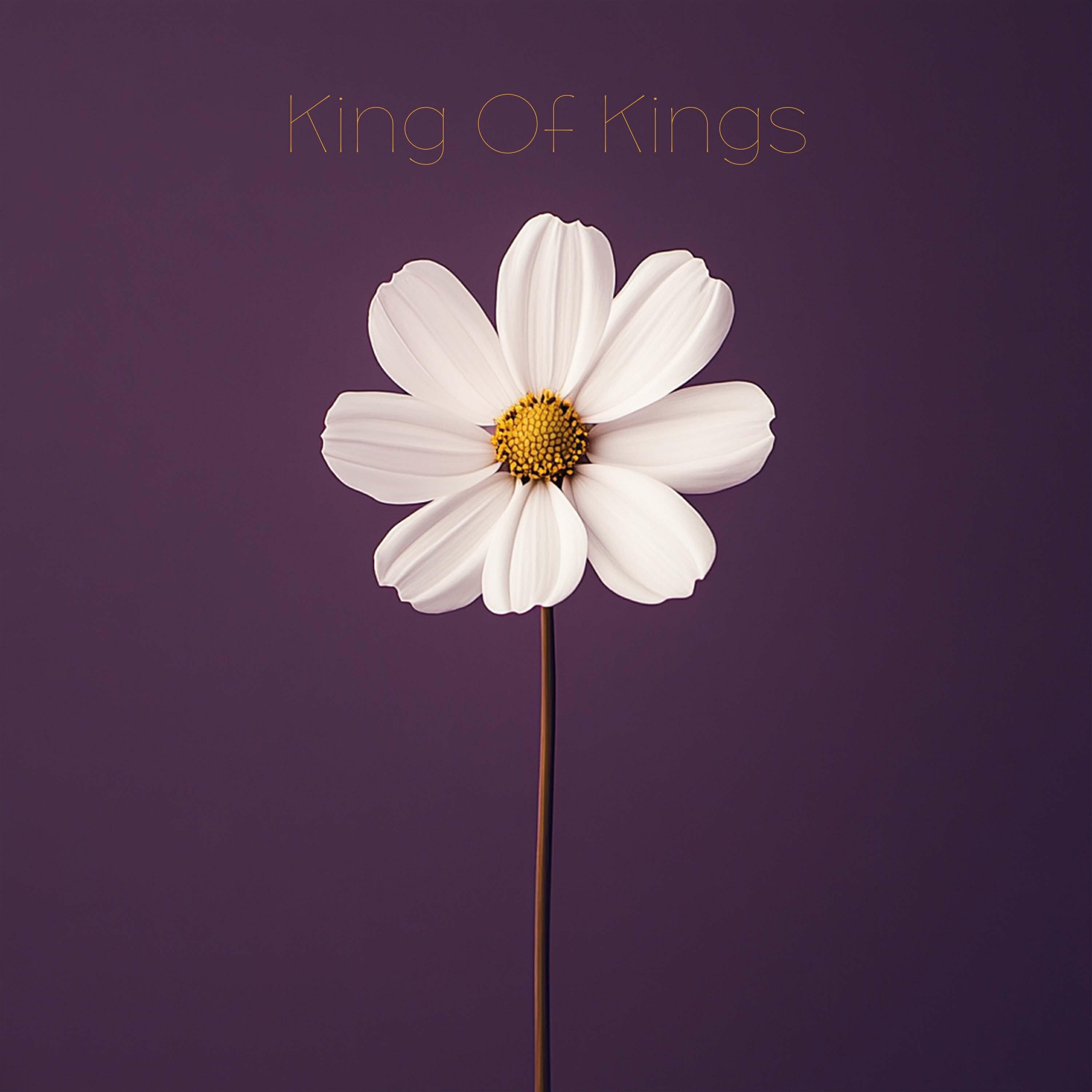 Релиз King Of Kings