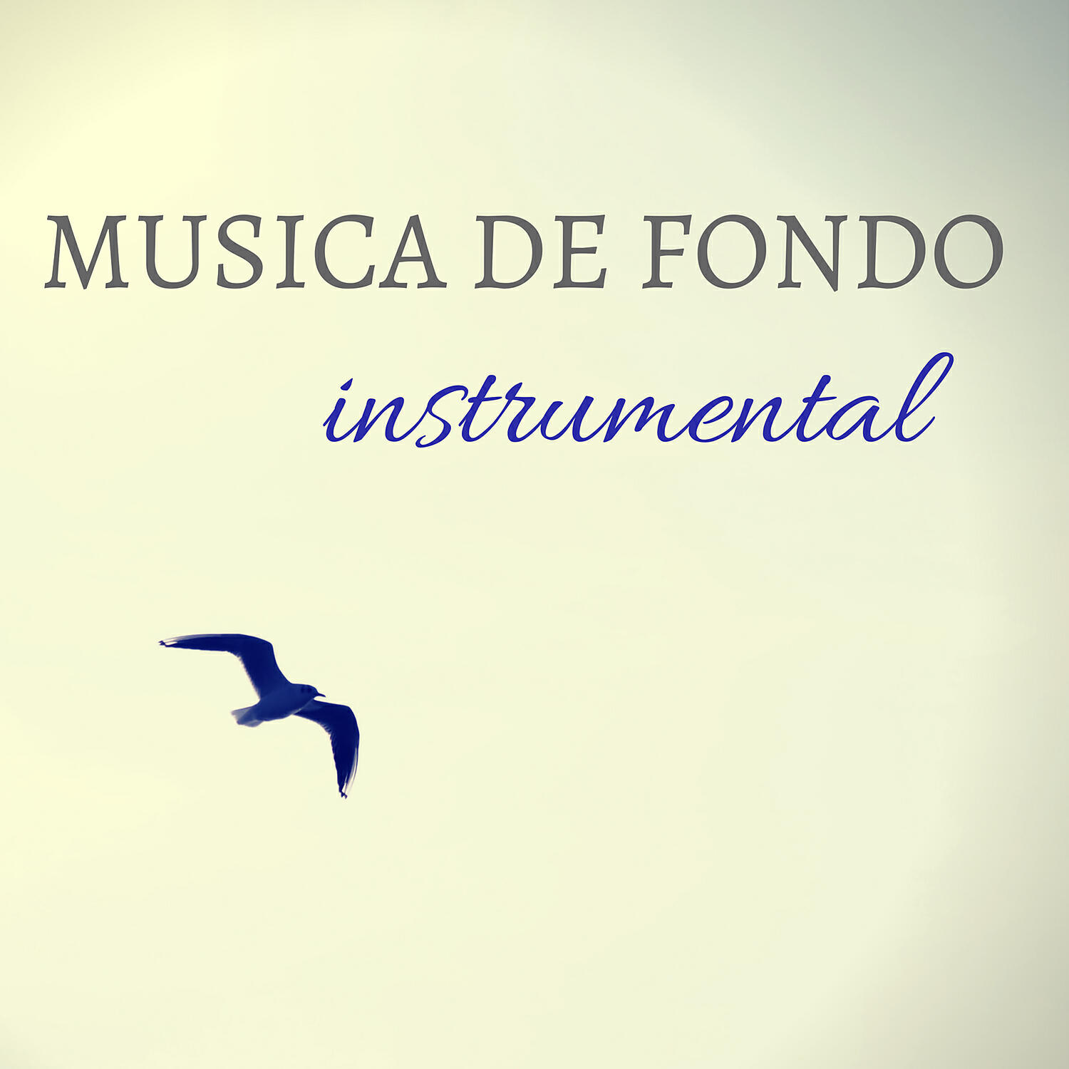 Música estudio instrumental