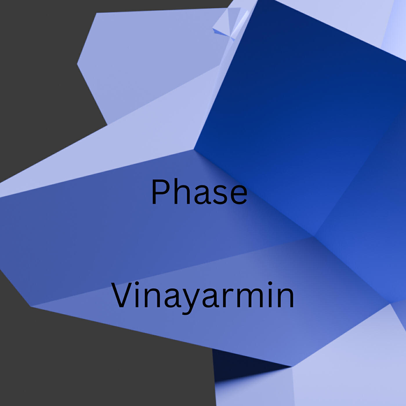 Vinayarmin