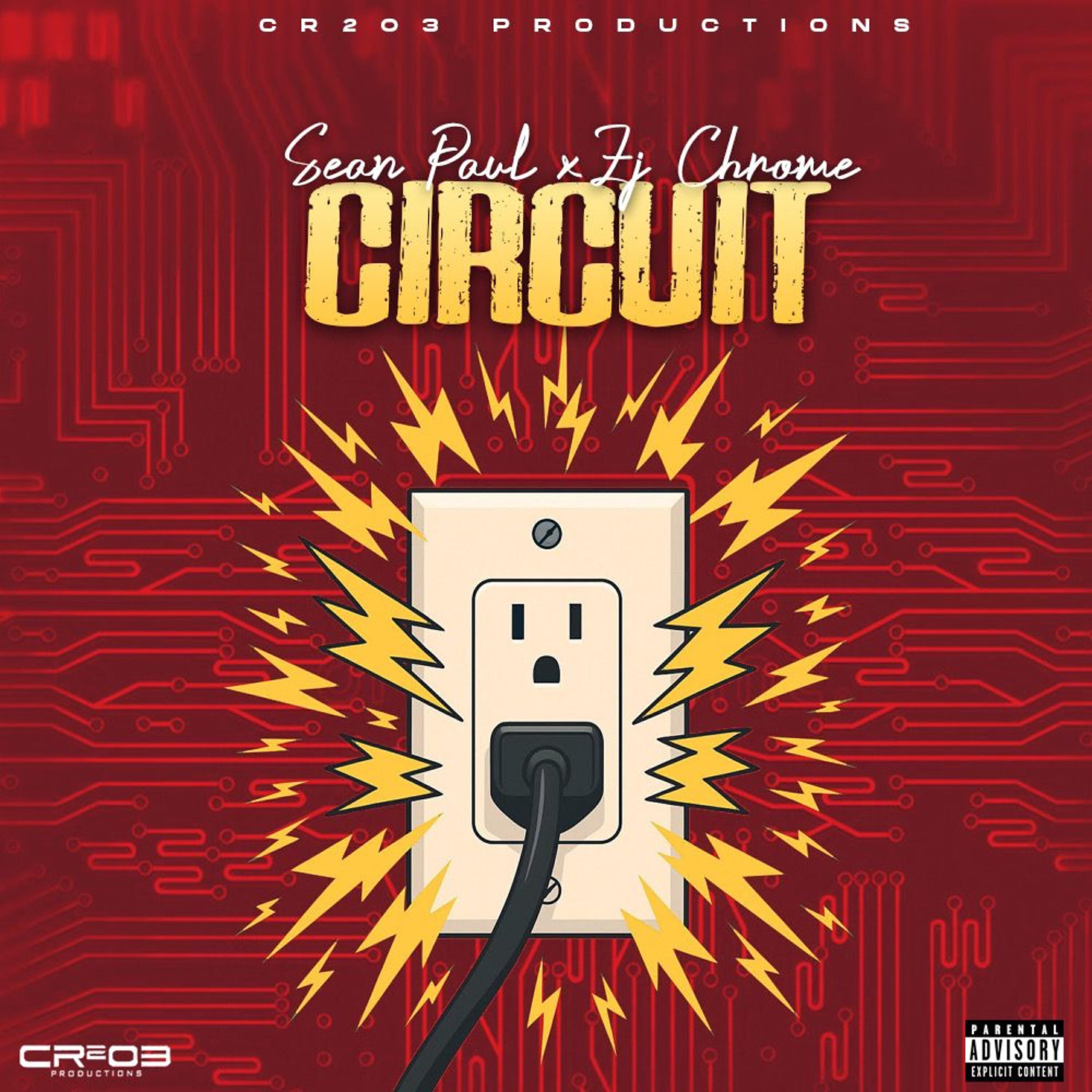 Постер альбома Circuit