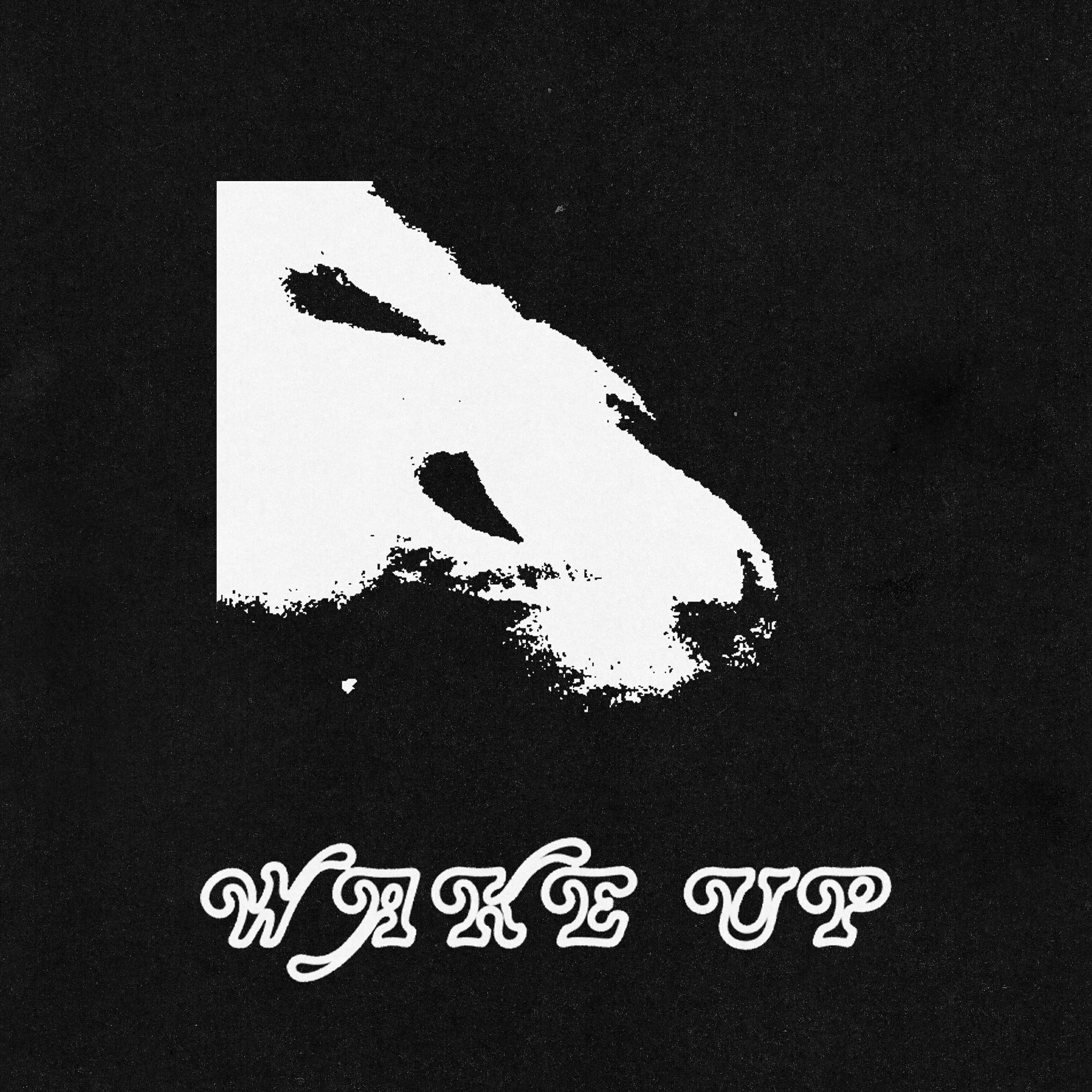 Релиз Wake Up