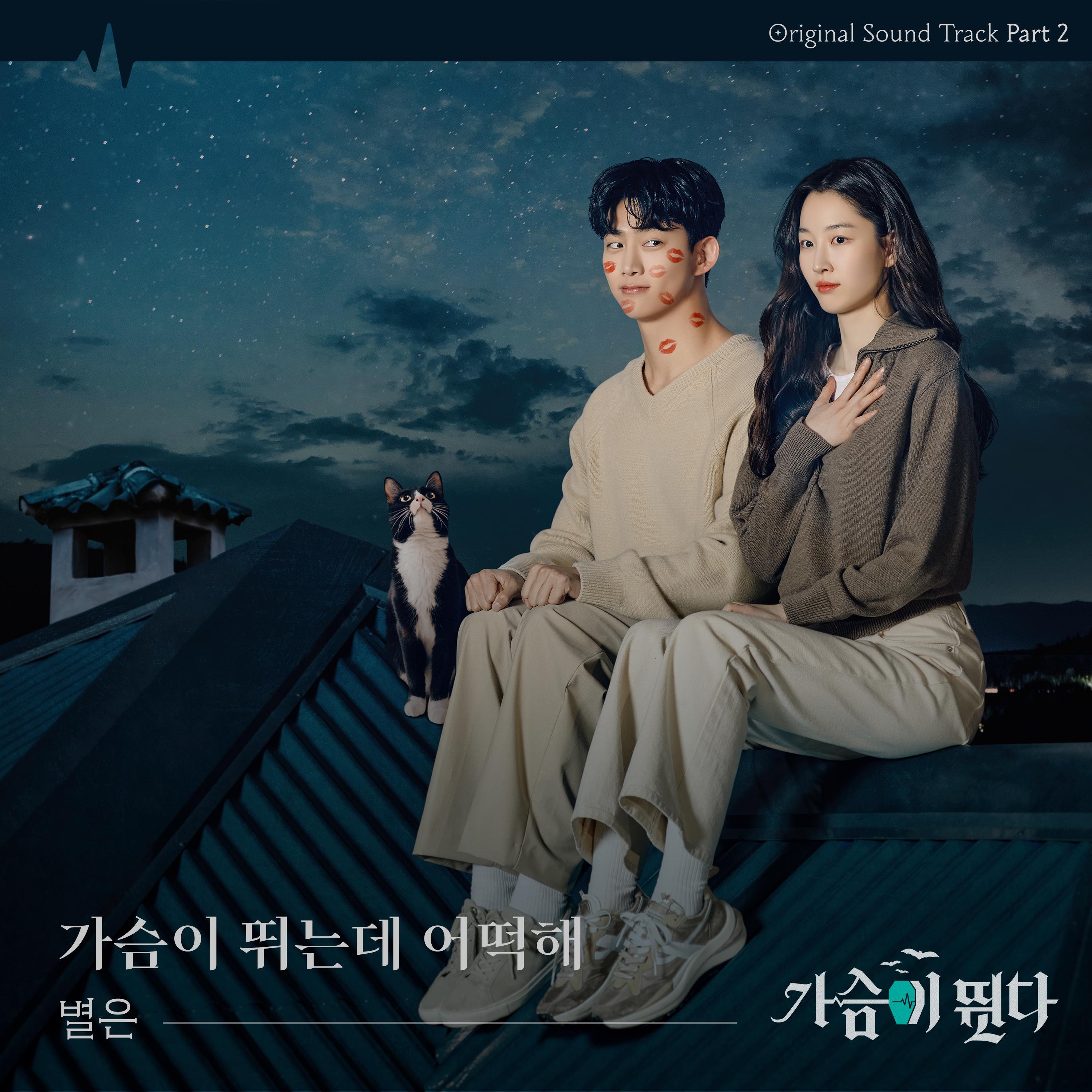 Релиз Heartbeat (Original Television Soundtrack), Pt.2