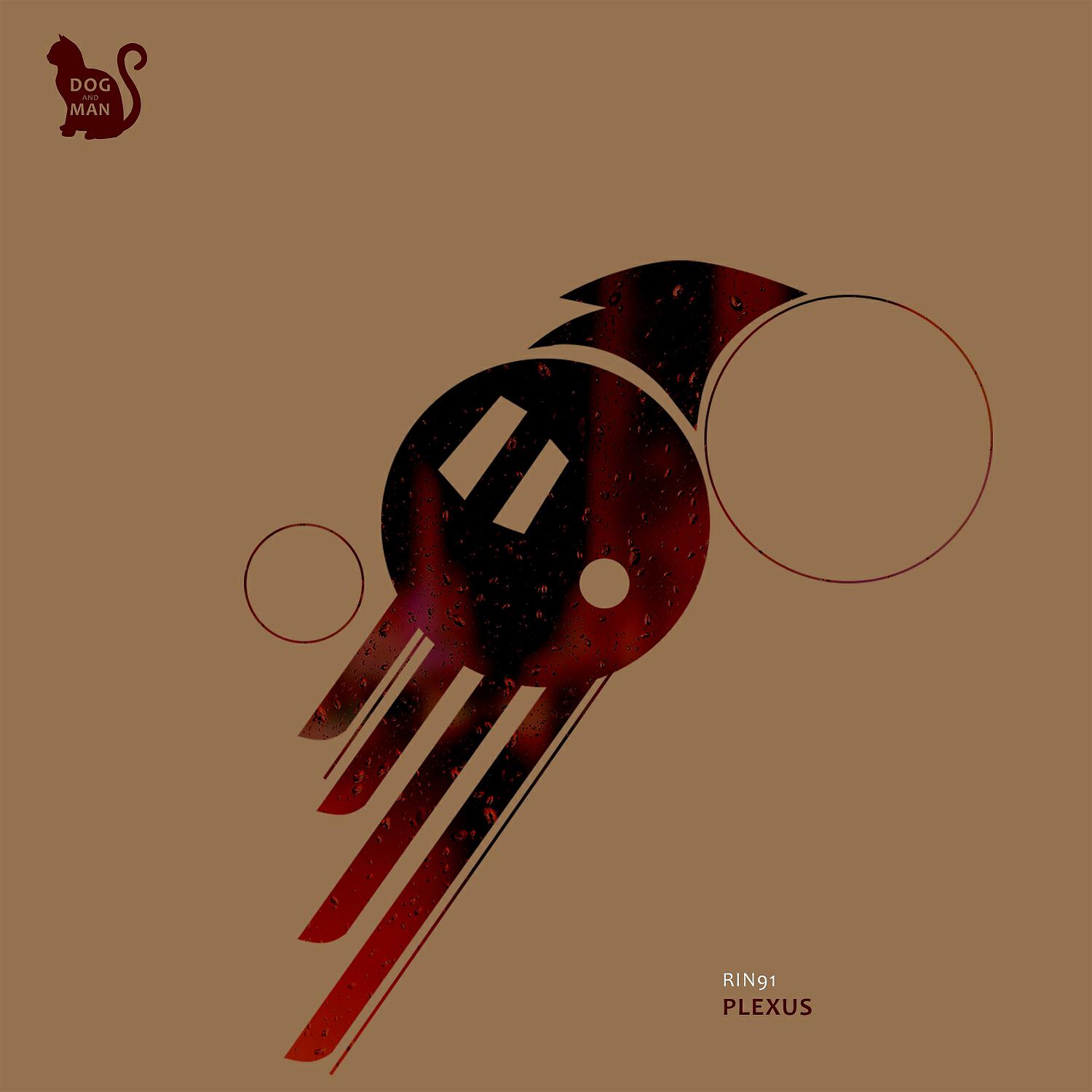 Релиз Plexus