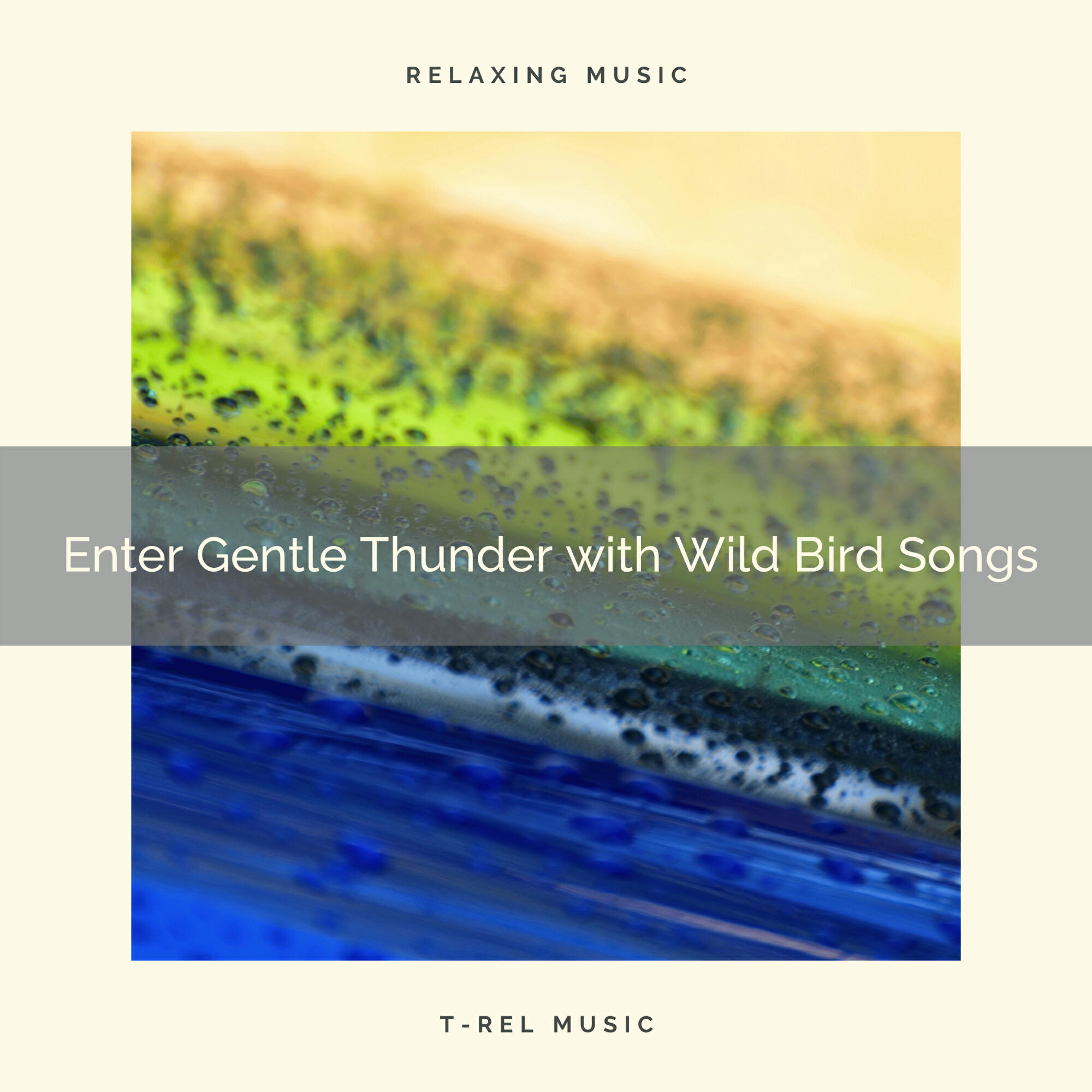 Релиз ! ! ! ! ! ! Enter Gentle Thunder with Wild Bird Songs