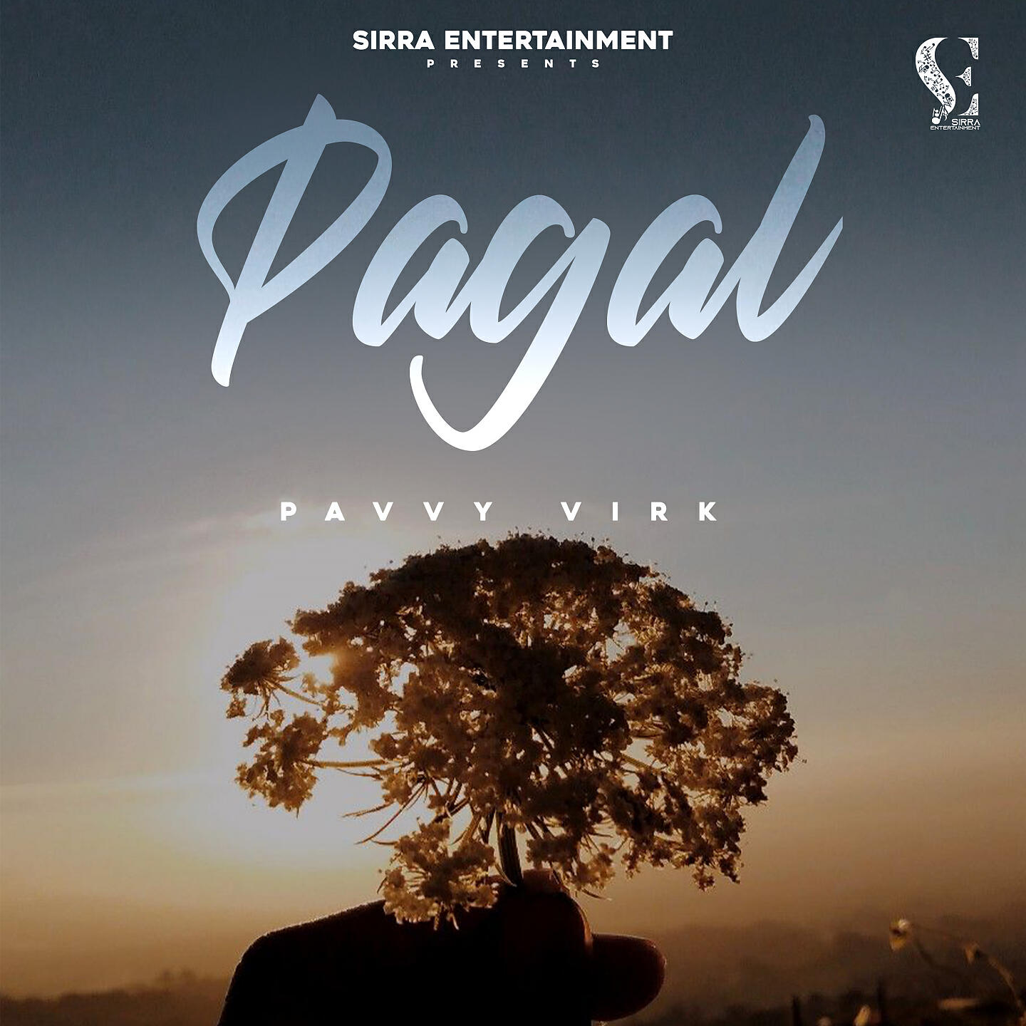 Релиз Pagal