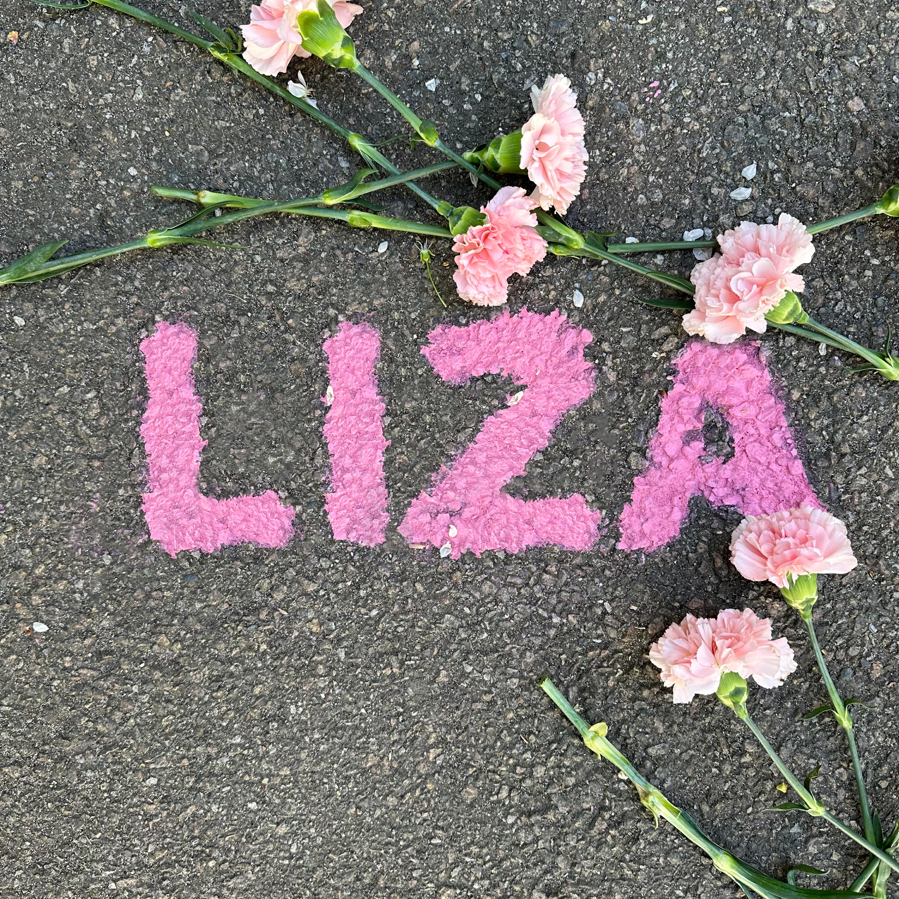 Релиз Liza
