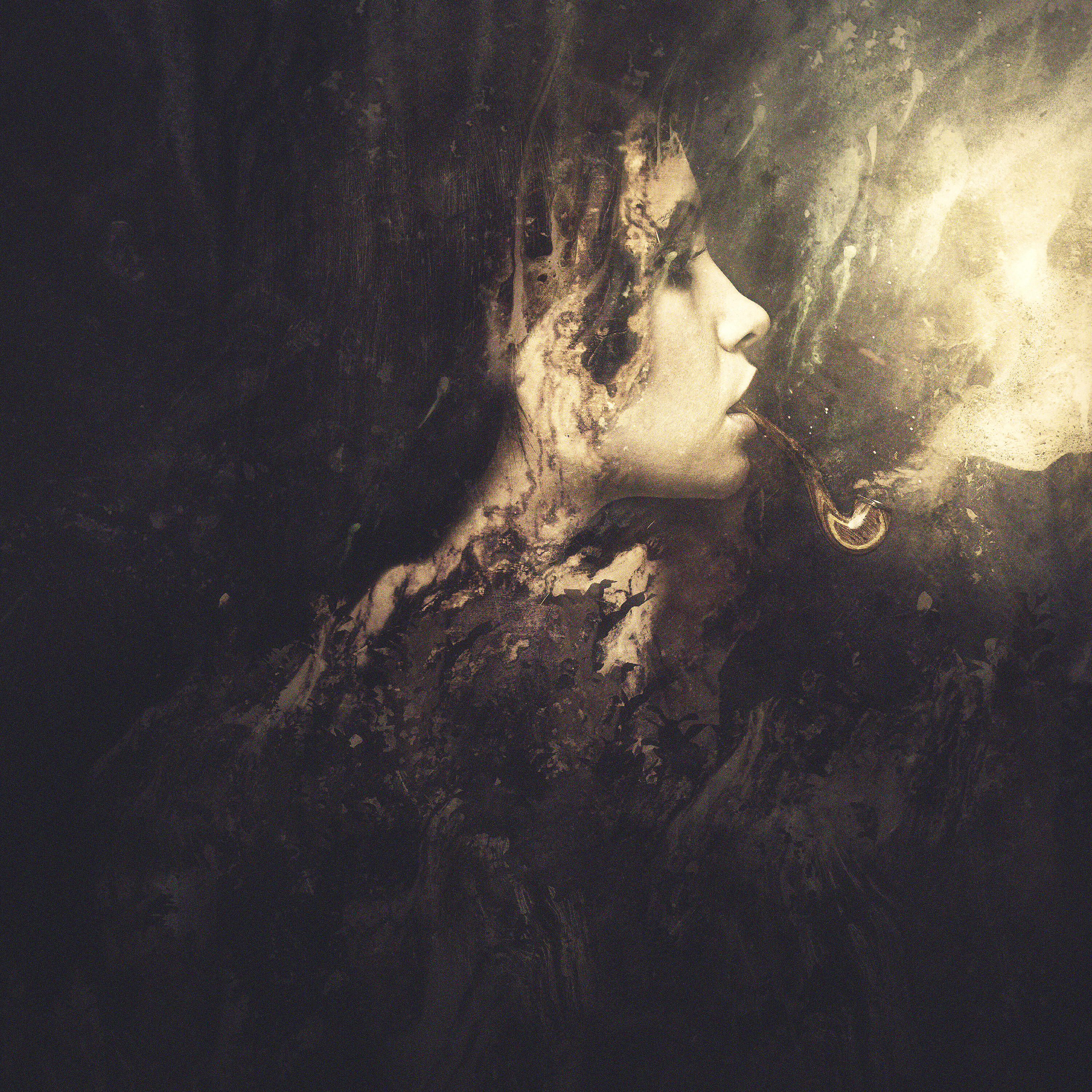 Релиз Echo / They Want Us to Fall Down