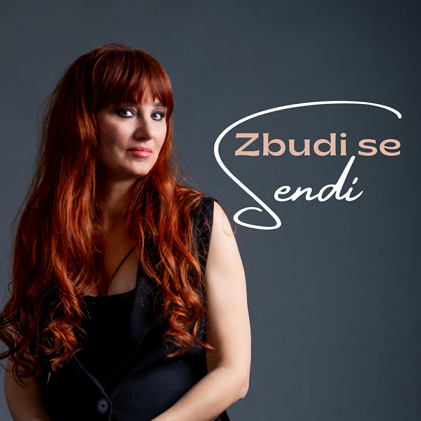 Релиз Zbudi se