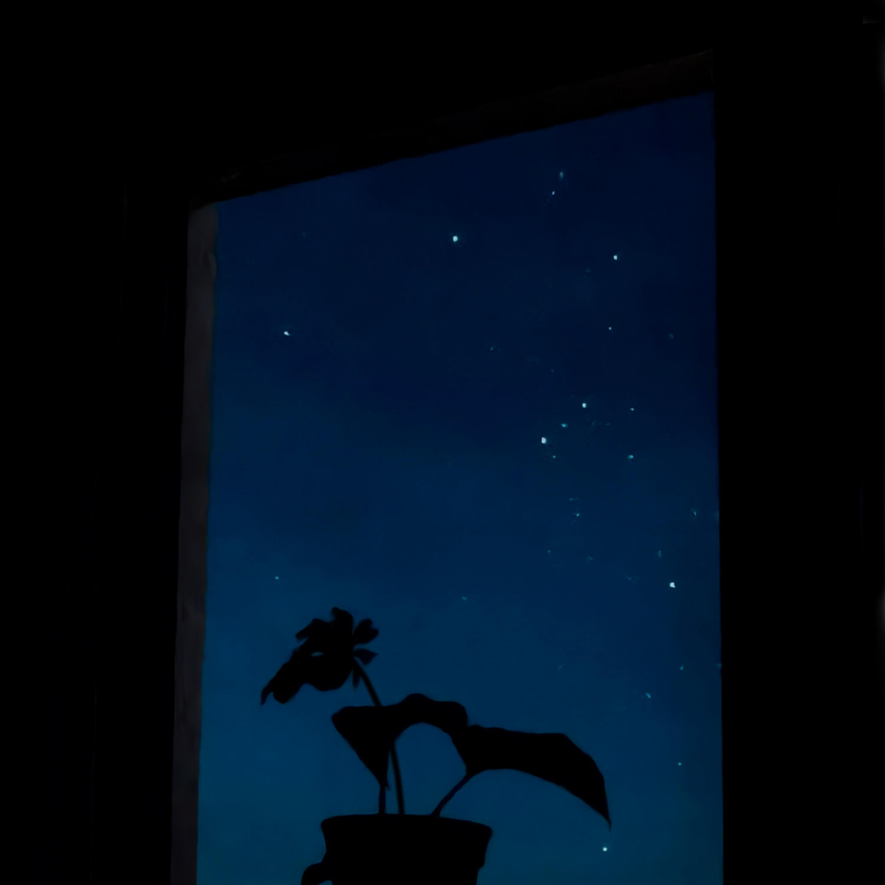 Релиз Last Night