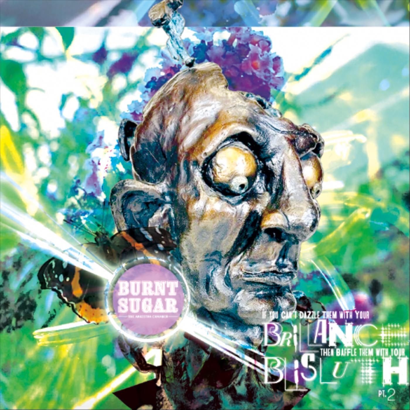 Burnt Sugar The Arkestra Chamber