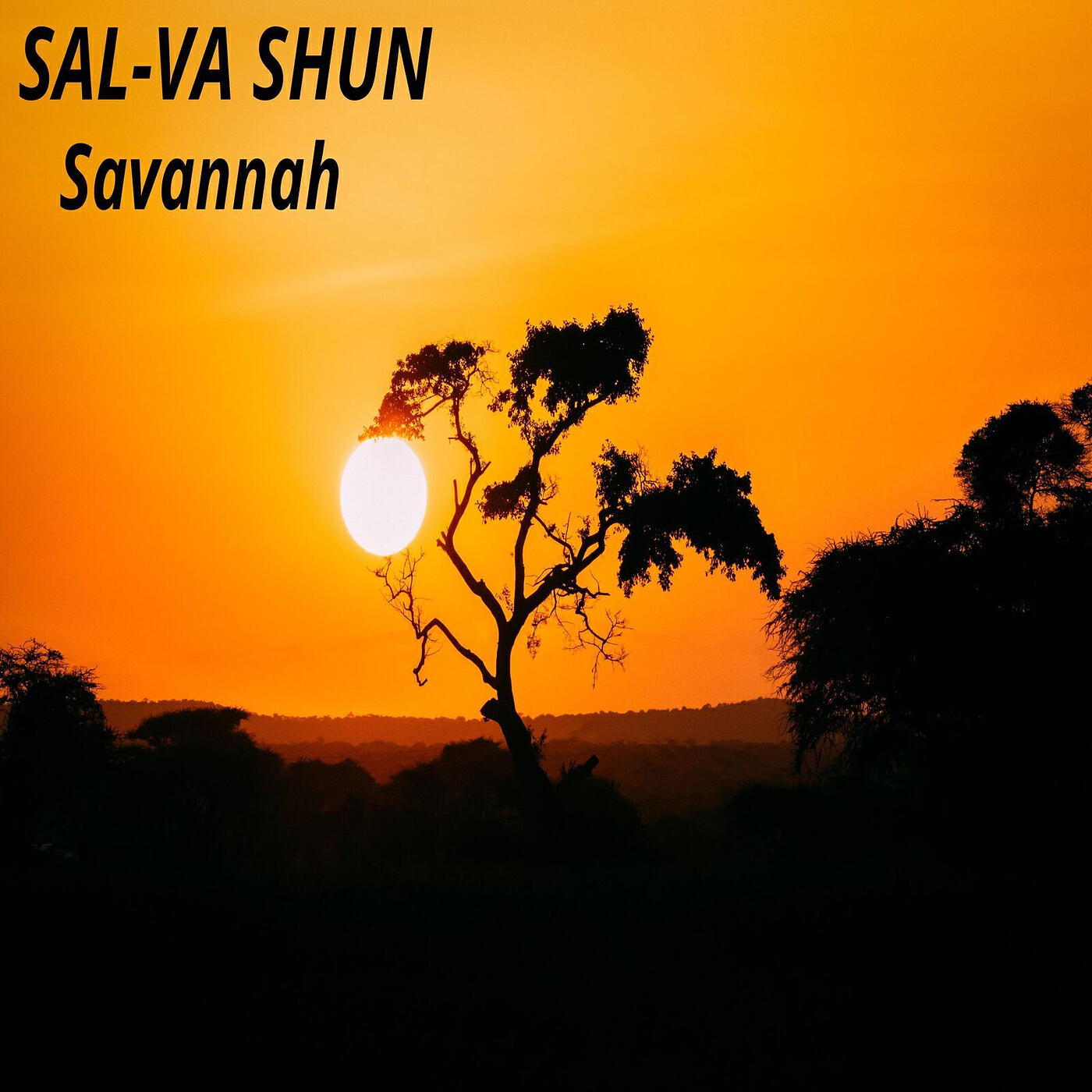 Релиз Savannah