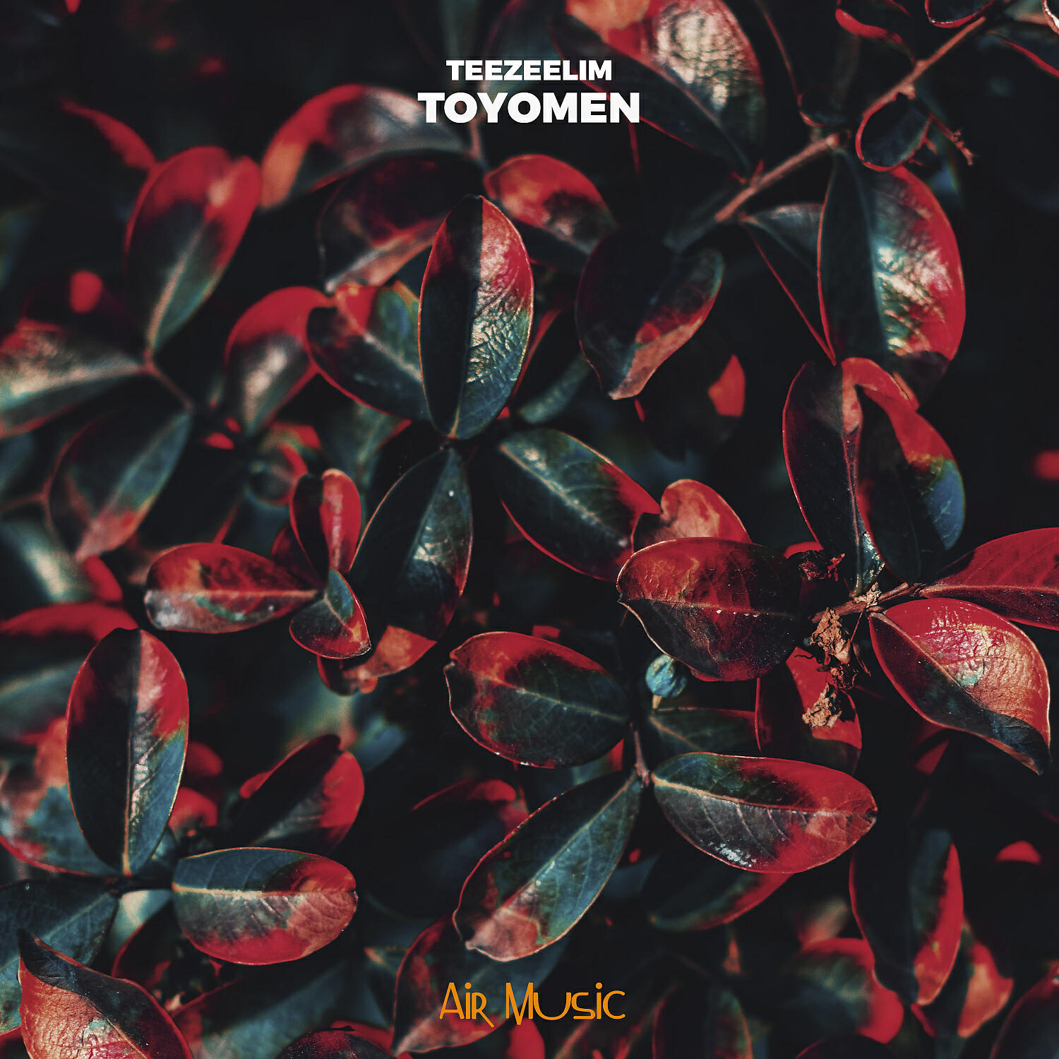 Релиз Toyomen