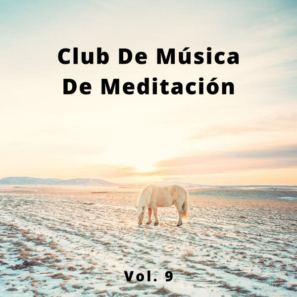 Релиз Club De Música De Meditación, Vol. 9