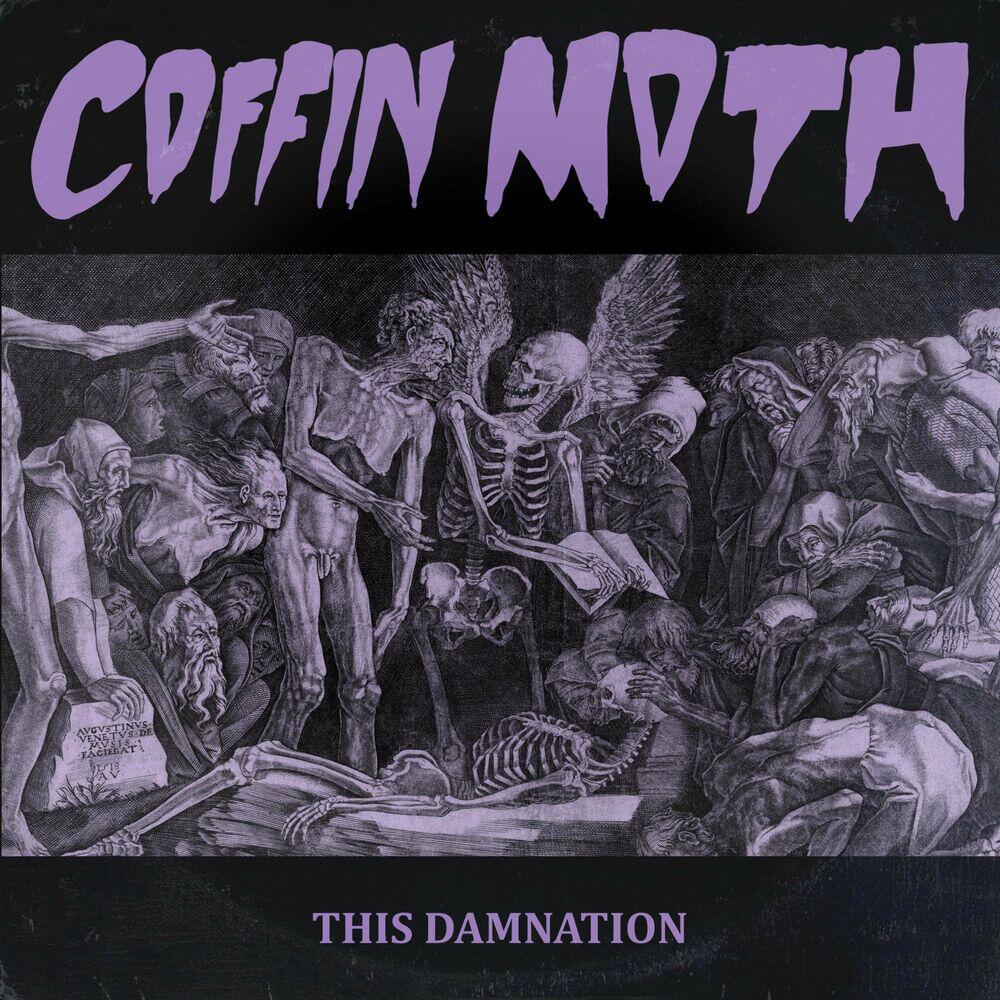 Coffin Moth